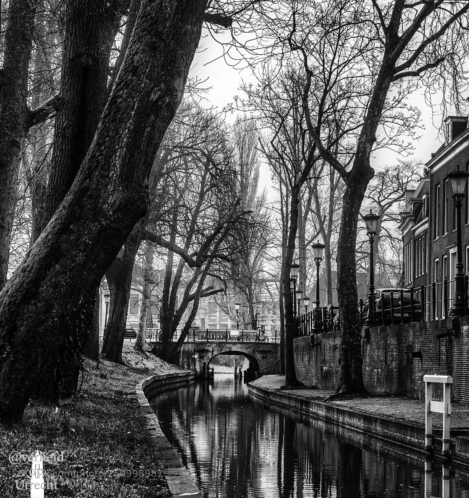 Nikon D5000 sample photo. Foggy morning at the photography
