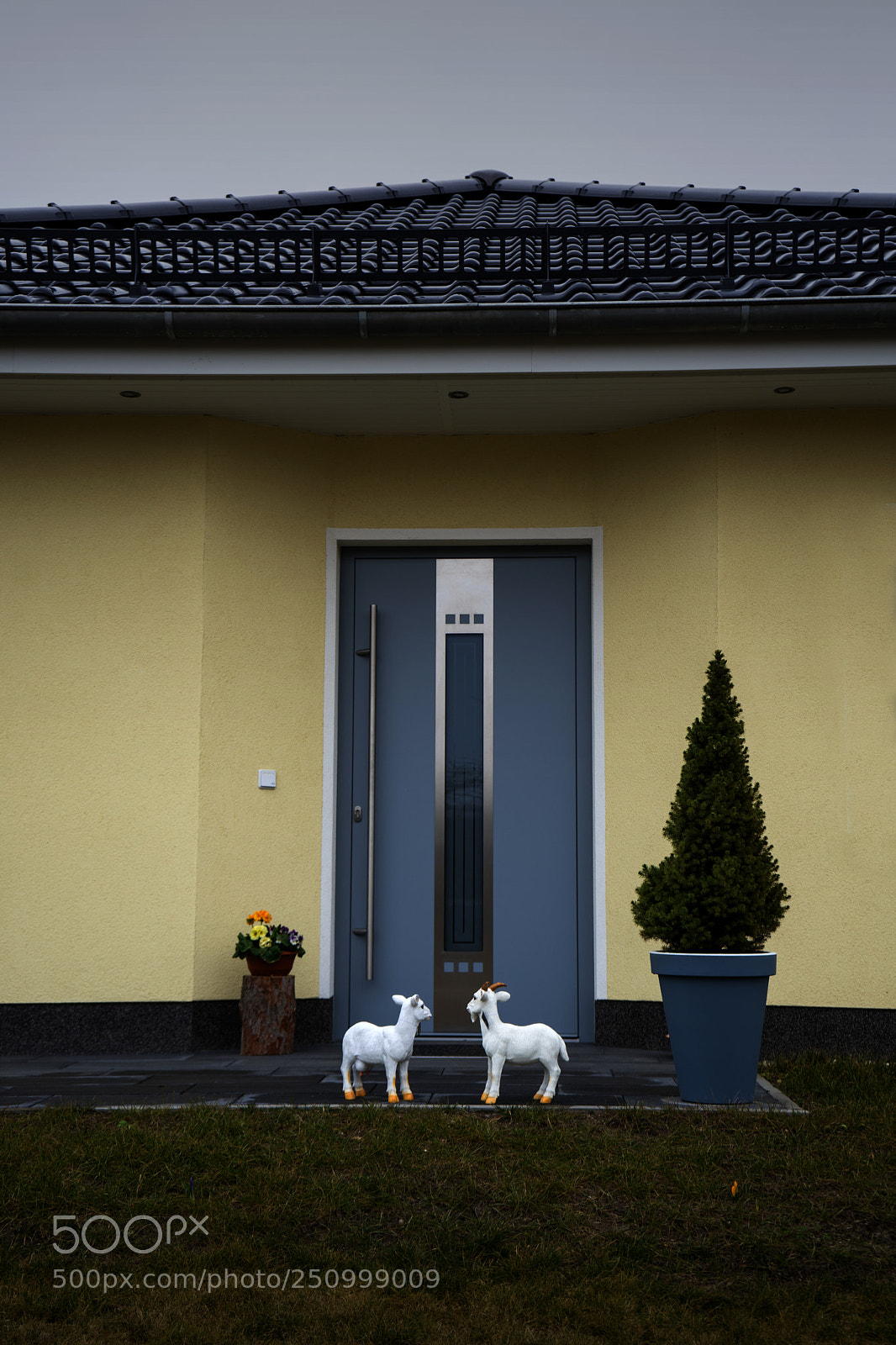 Sony a7 sample photo. Untitled photography