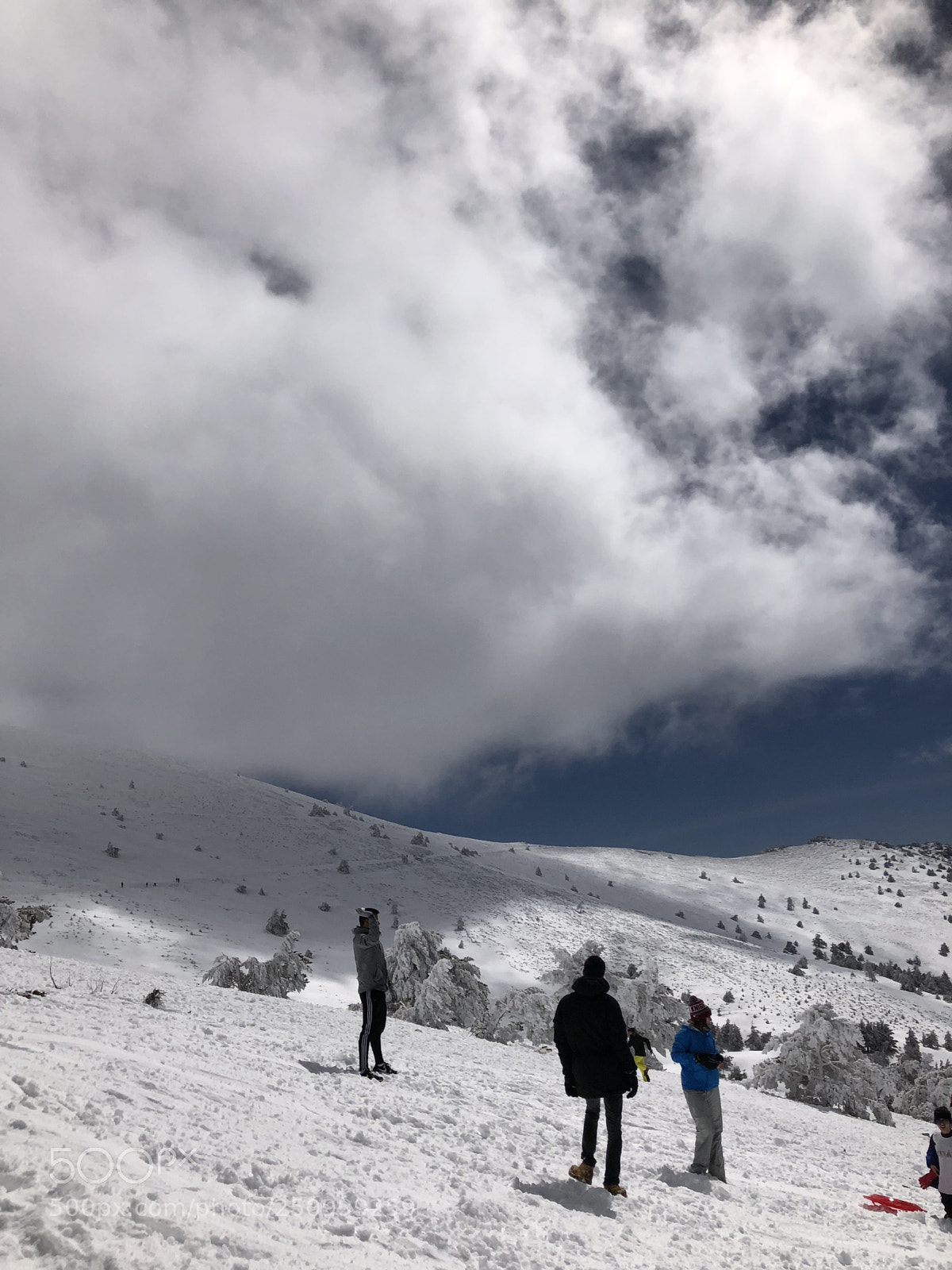 Apple iPhone 8 sample photo. Nieve photography