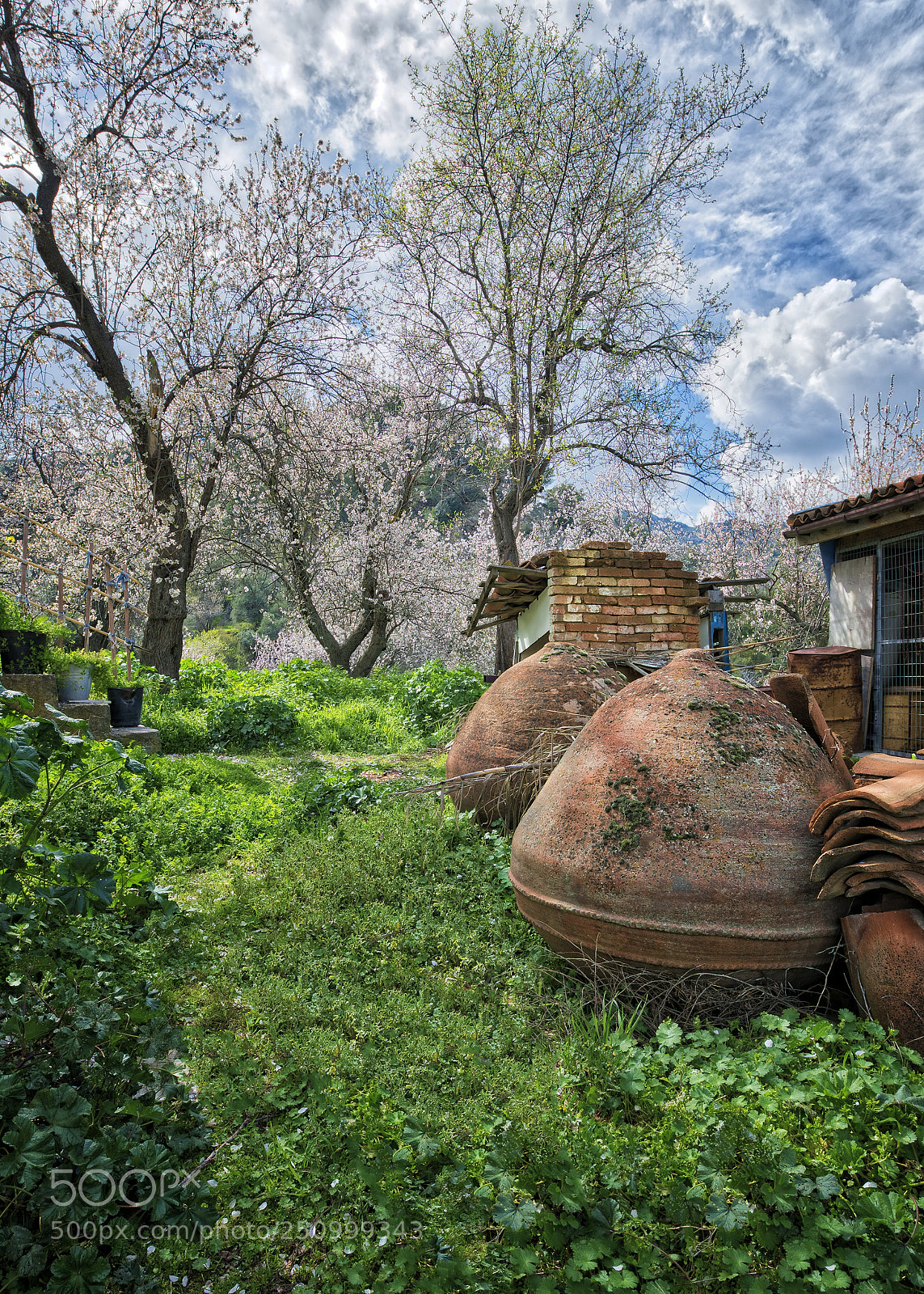 Nikon D800 sample photo. Spring in a village photography
