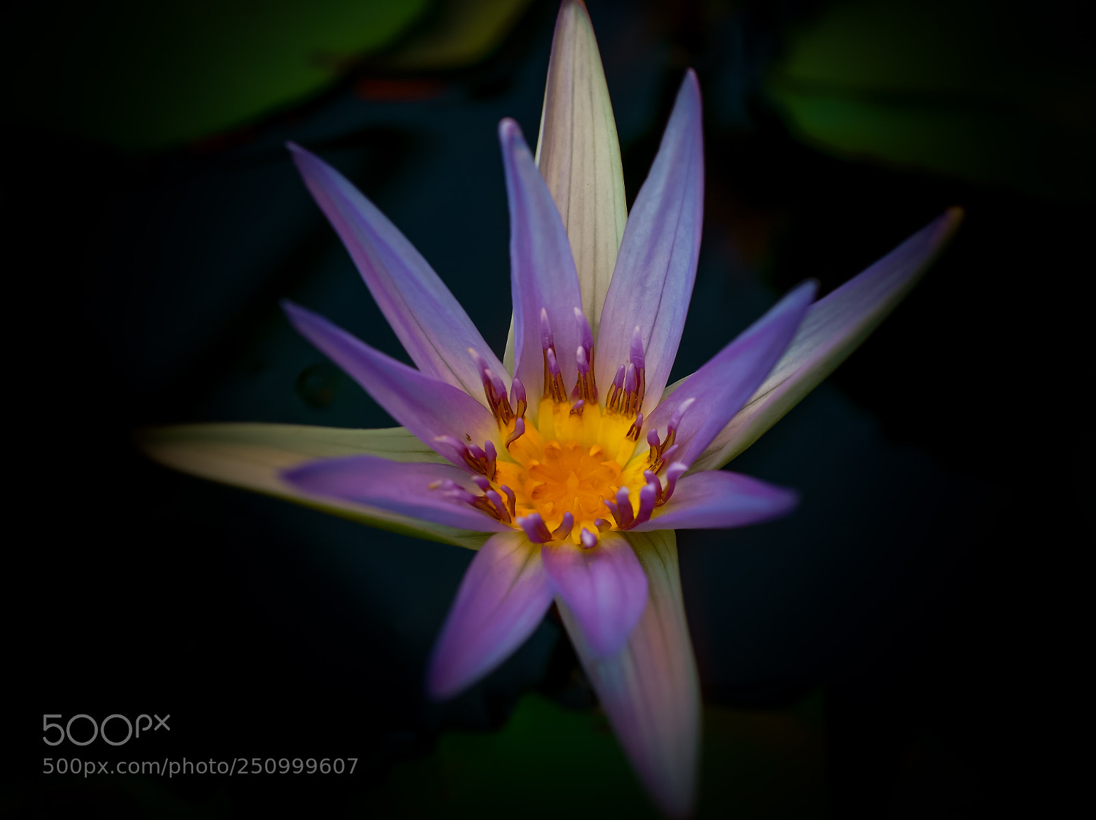 Sony a6000 sample photo. Super star photography