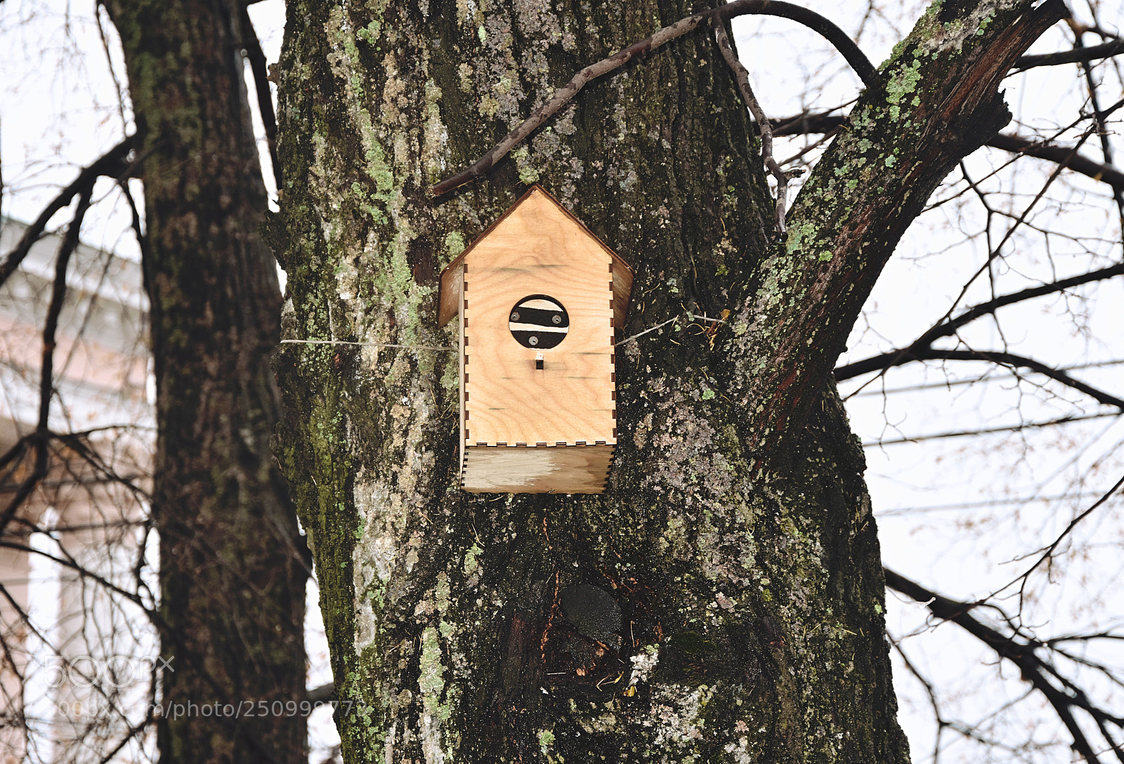 Nikon D7200 sample photo. Empty house photography
