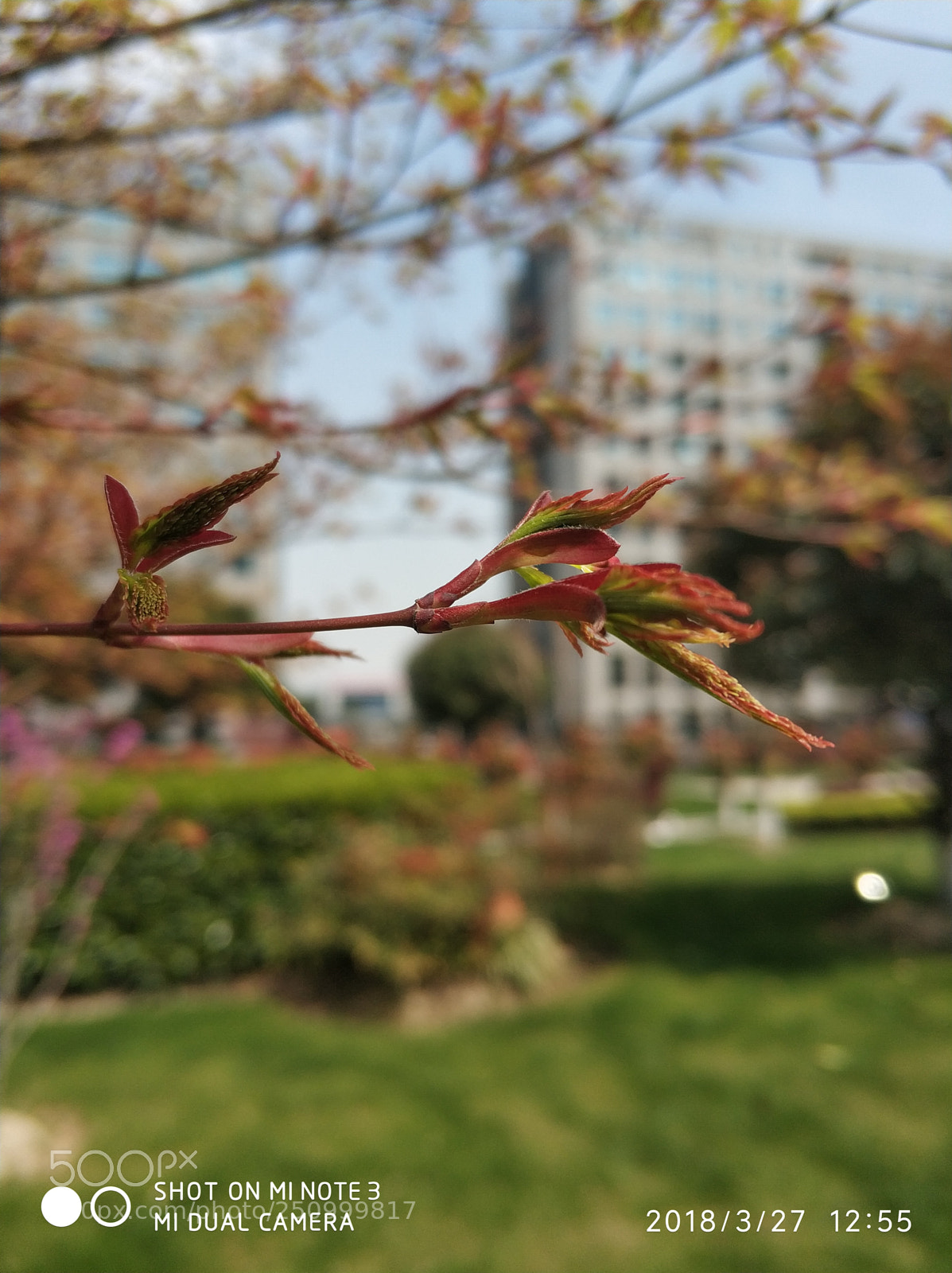Xiaomi Mi Note 3 sample photo. Untitled photography