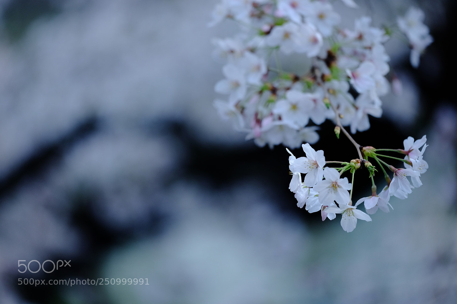 Fujifilm X-T10 sample photo. Like the flow of photography