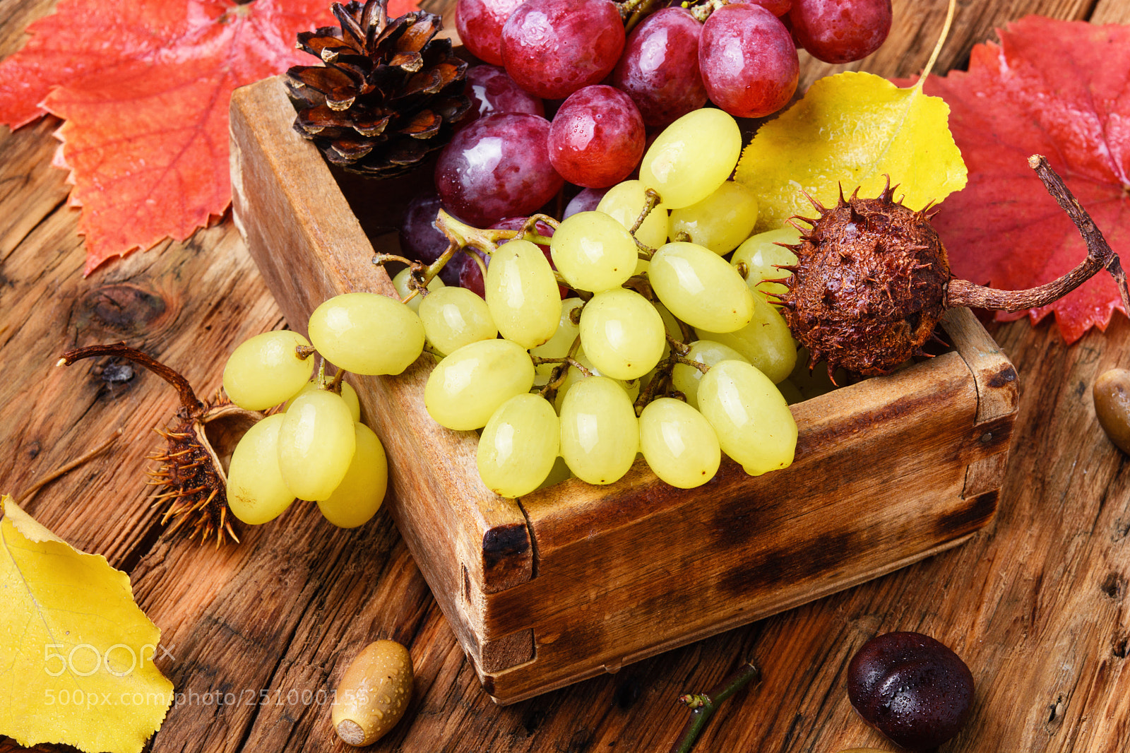 Nikon D7100 sample photo. Bunch of autumn grapes photography