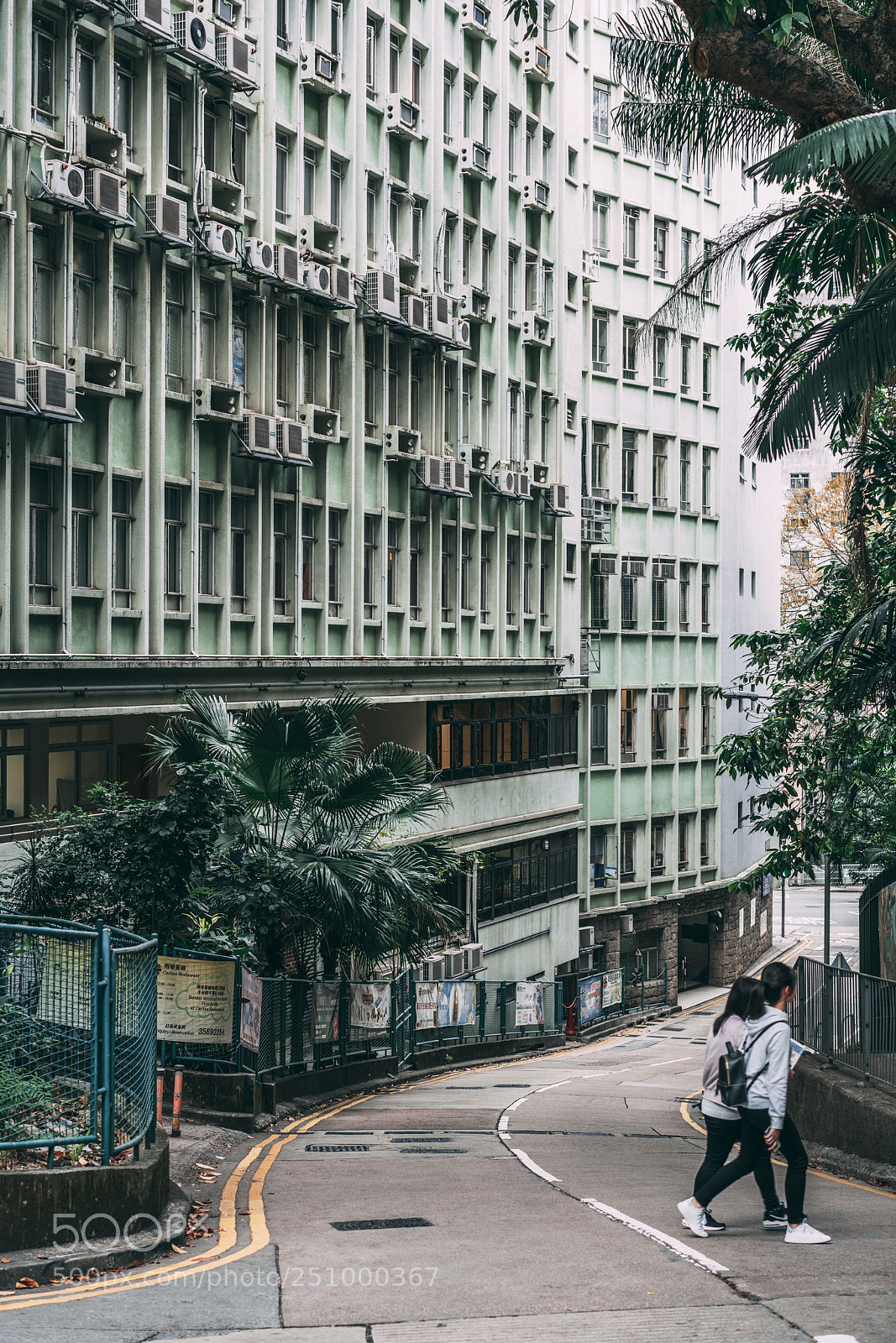 Sony a7R III sample photo. Urban jungle photography