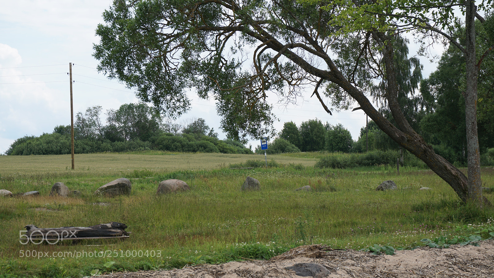 Sony a6000 sample photo. Rāznas ezera krasts photography