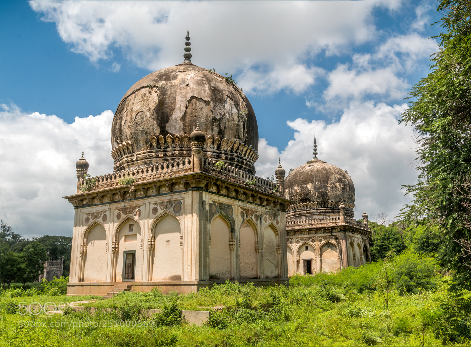 Canon EOS 70D sample photo. Qutb shai tombs in photography