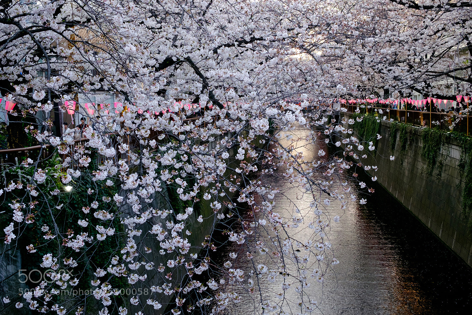 Fujifilm X-T10 sample photo. Untitled photography
