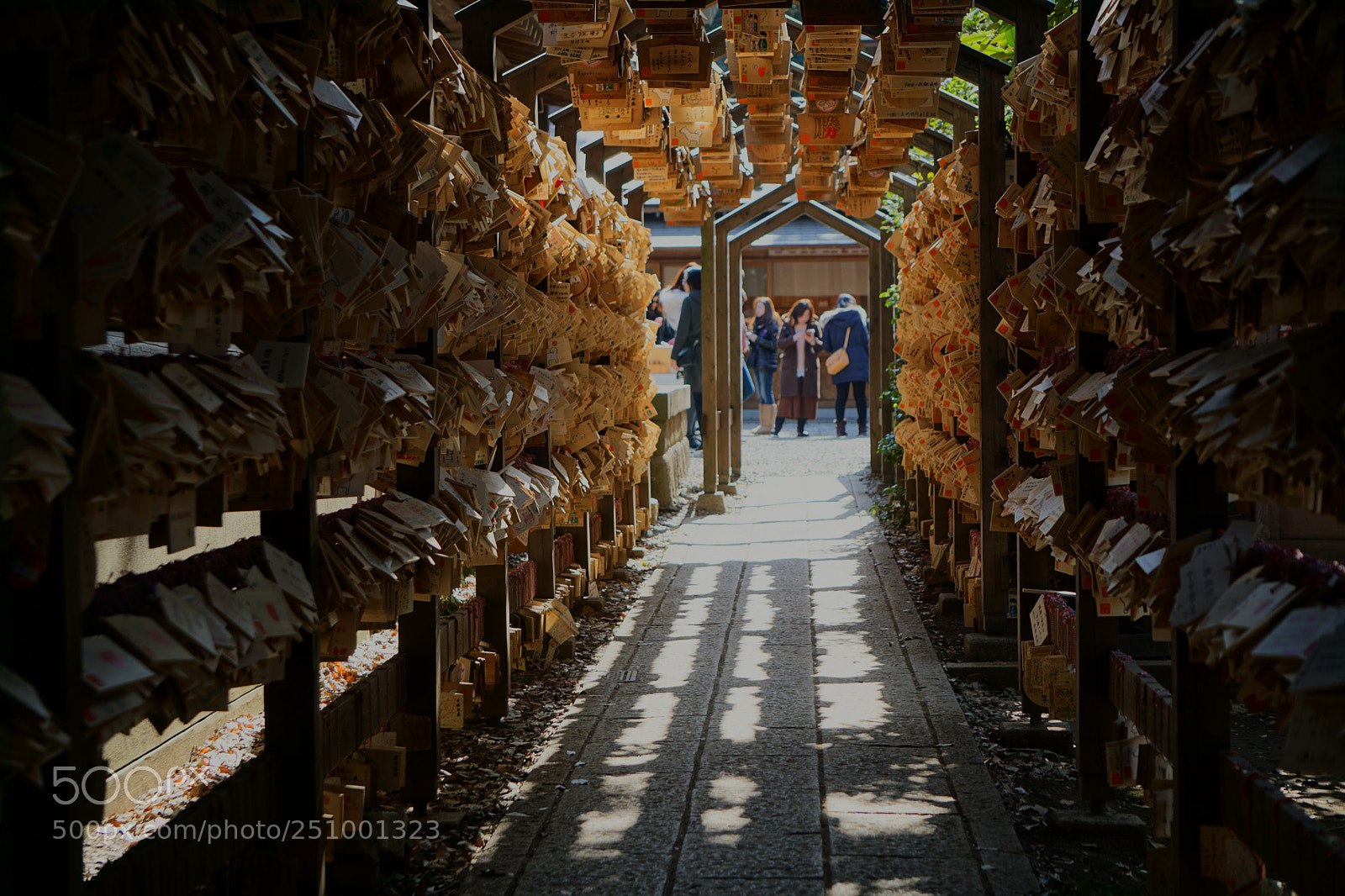 Sony a6000 sample photo. Dsc08444-1.jpg photography