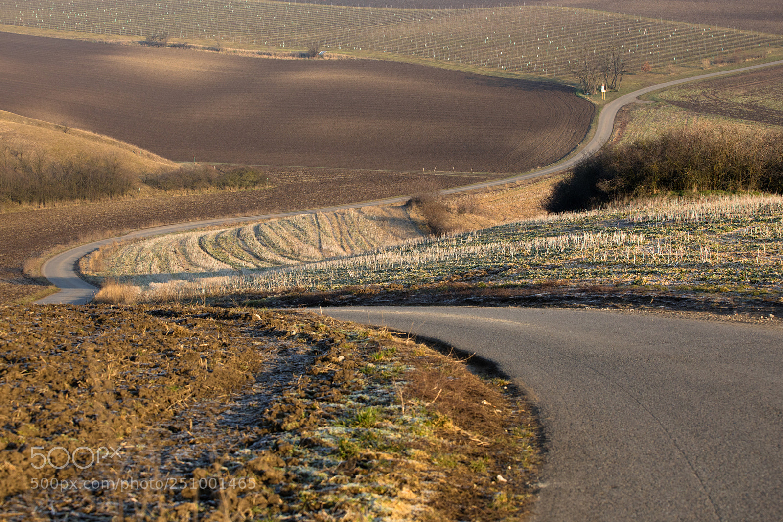 Canon EOS 5D Mark IV sample photo. Moravian tuscany photography