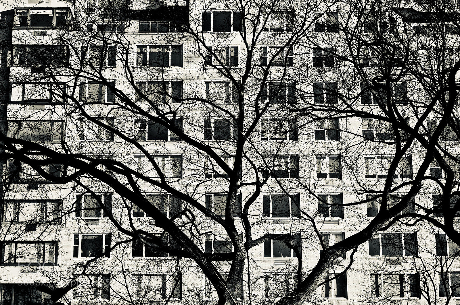 Nikon D300 sample photo. November pic revisited photography