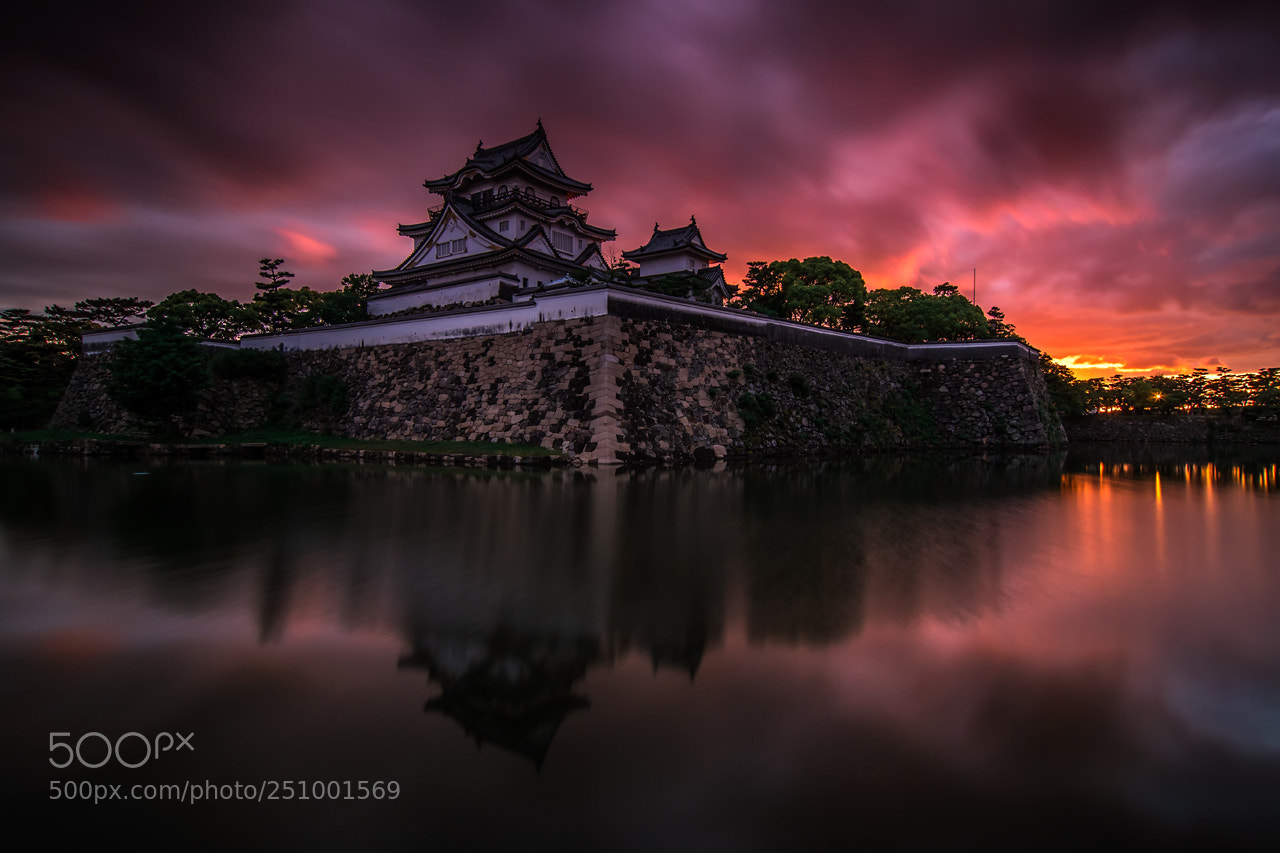 Pentax K-S2 sample photo. Kishiwada castle photography