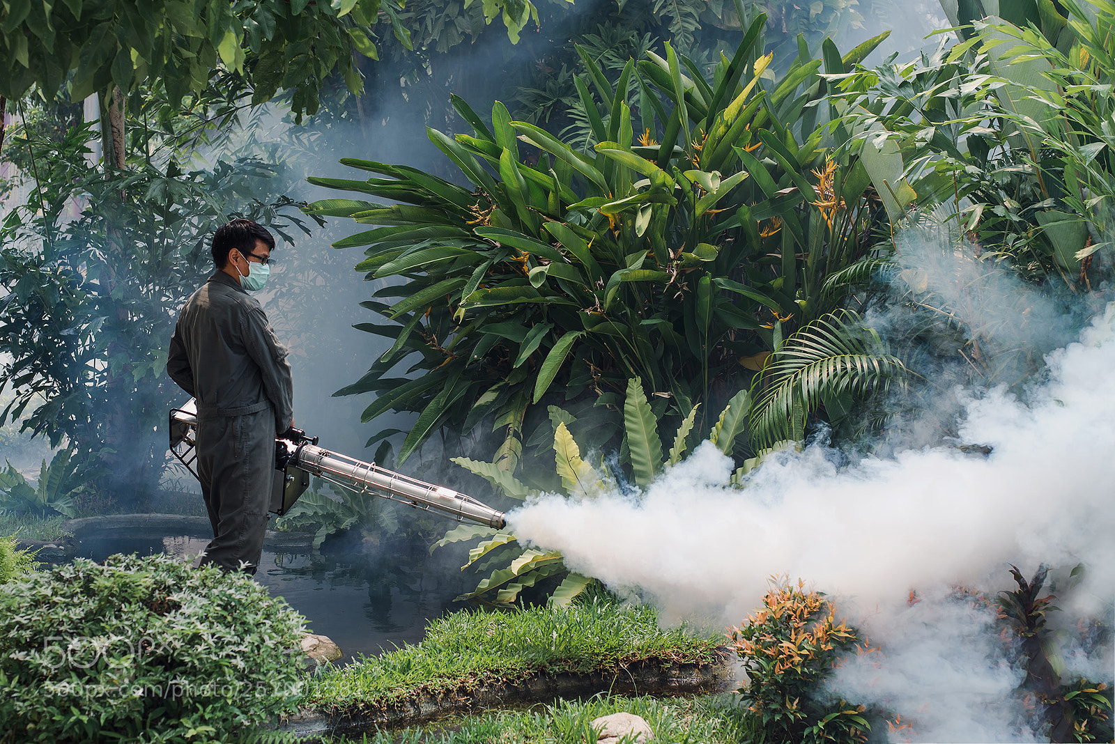 Nikon D600 sample photo. Man work fogging to photography