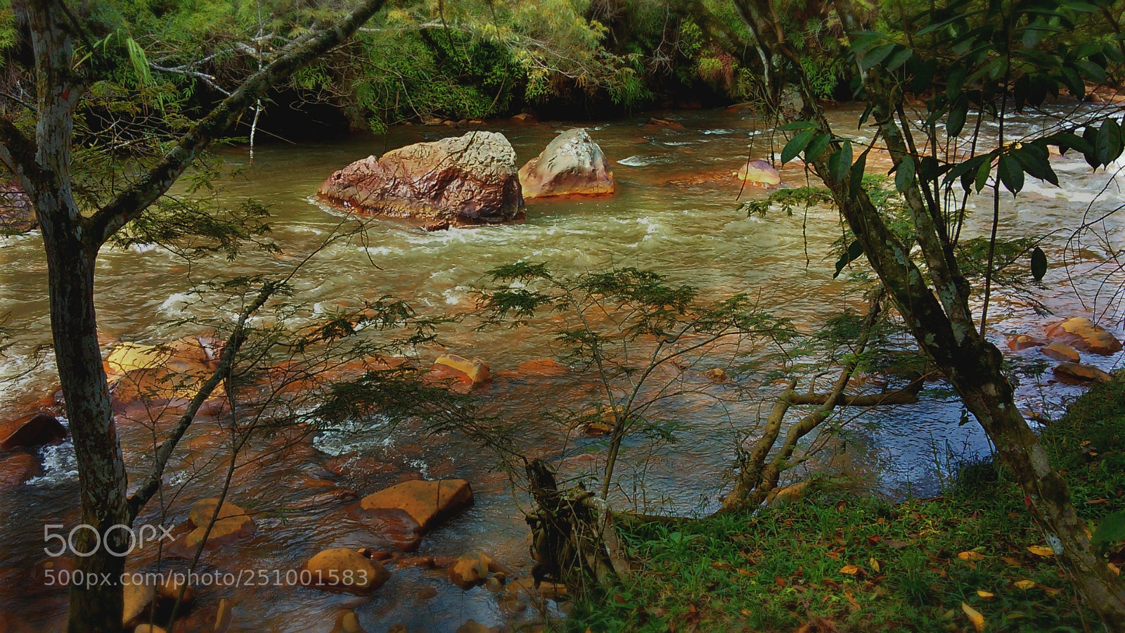 Samsung Galaxy S5 Mini sample photo. Tropical rainforest river photography