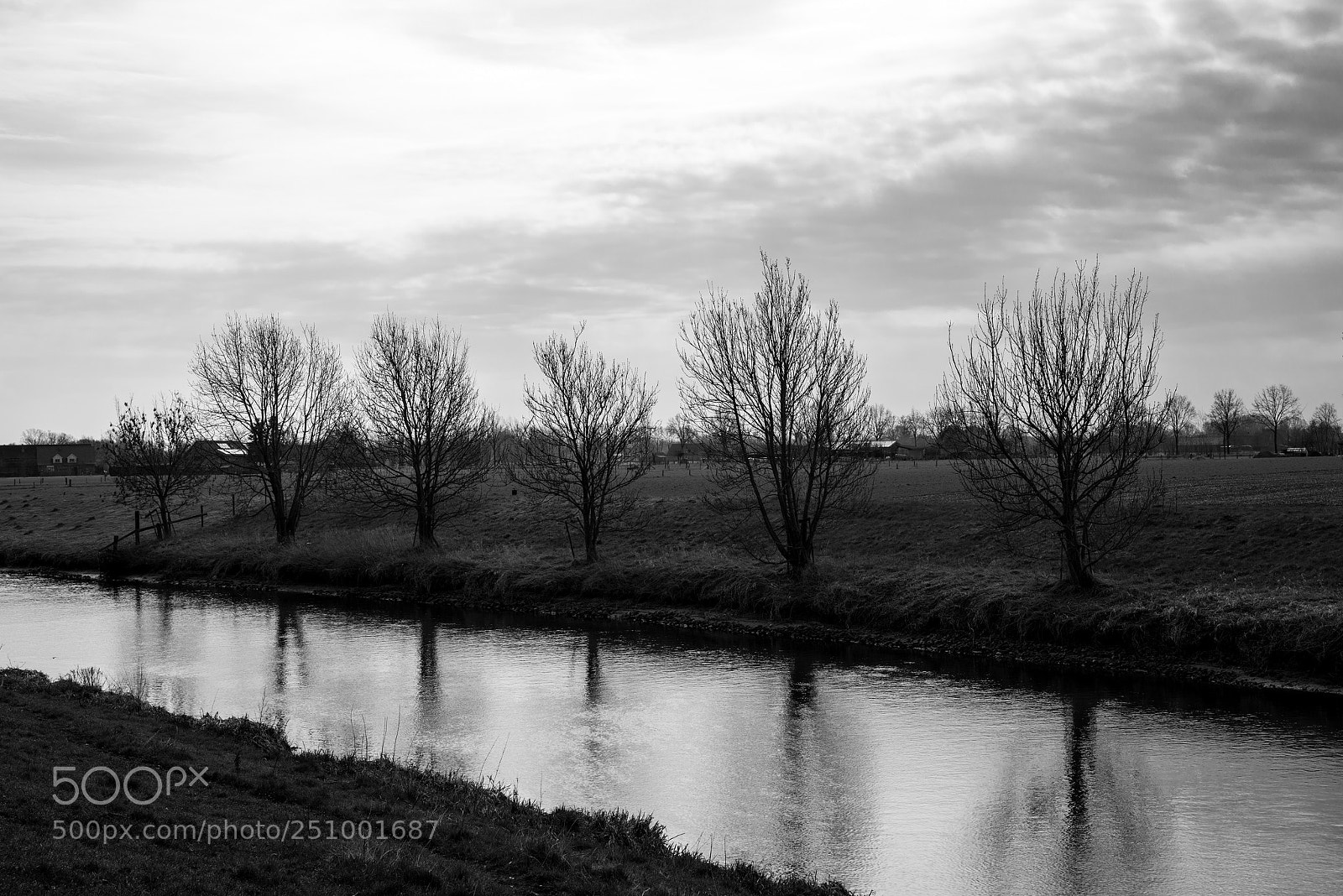 Pentax K-1 sample photo. 5 trees photography