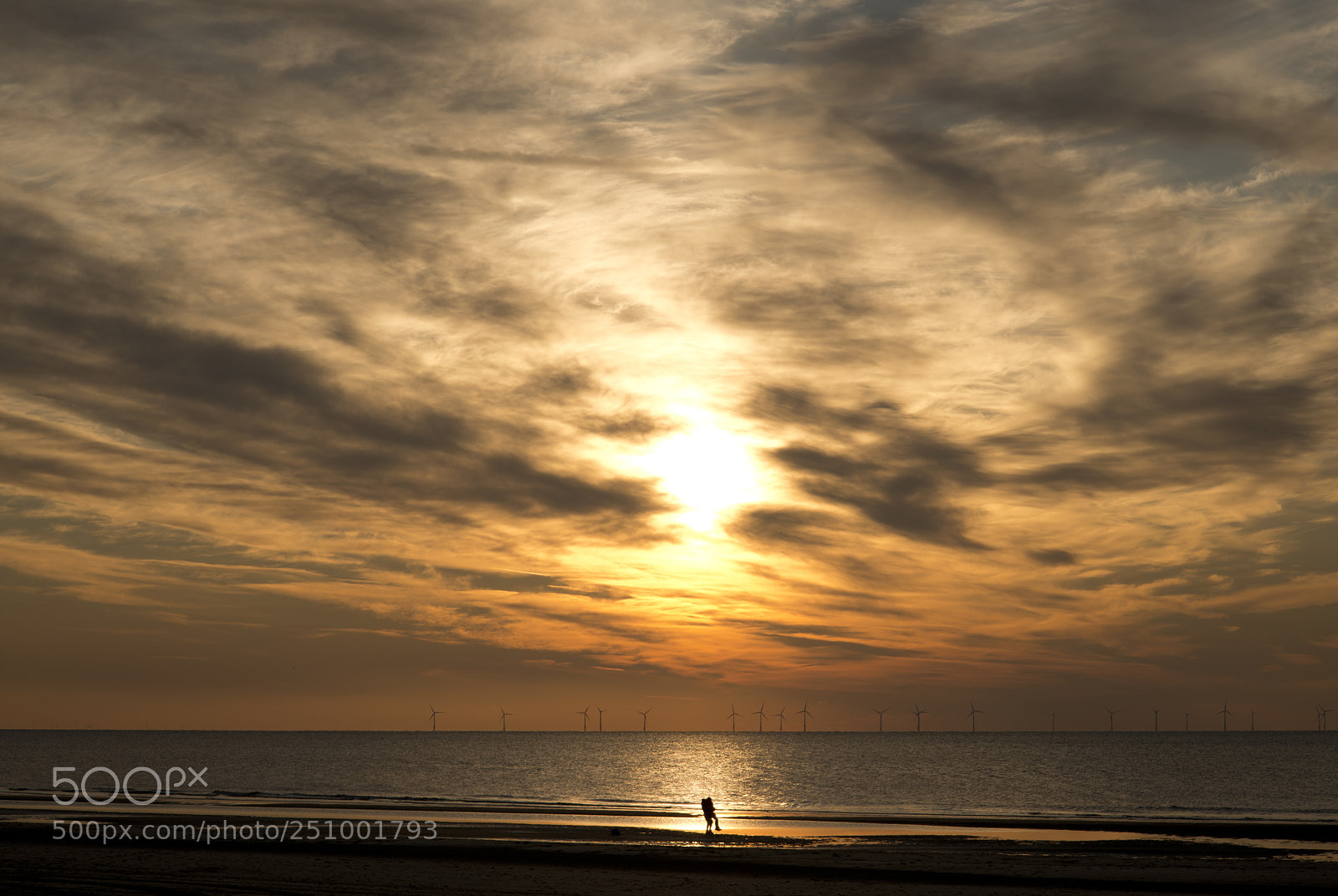 Nikon D800 sample photo. Dutch beach photography
