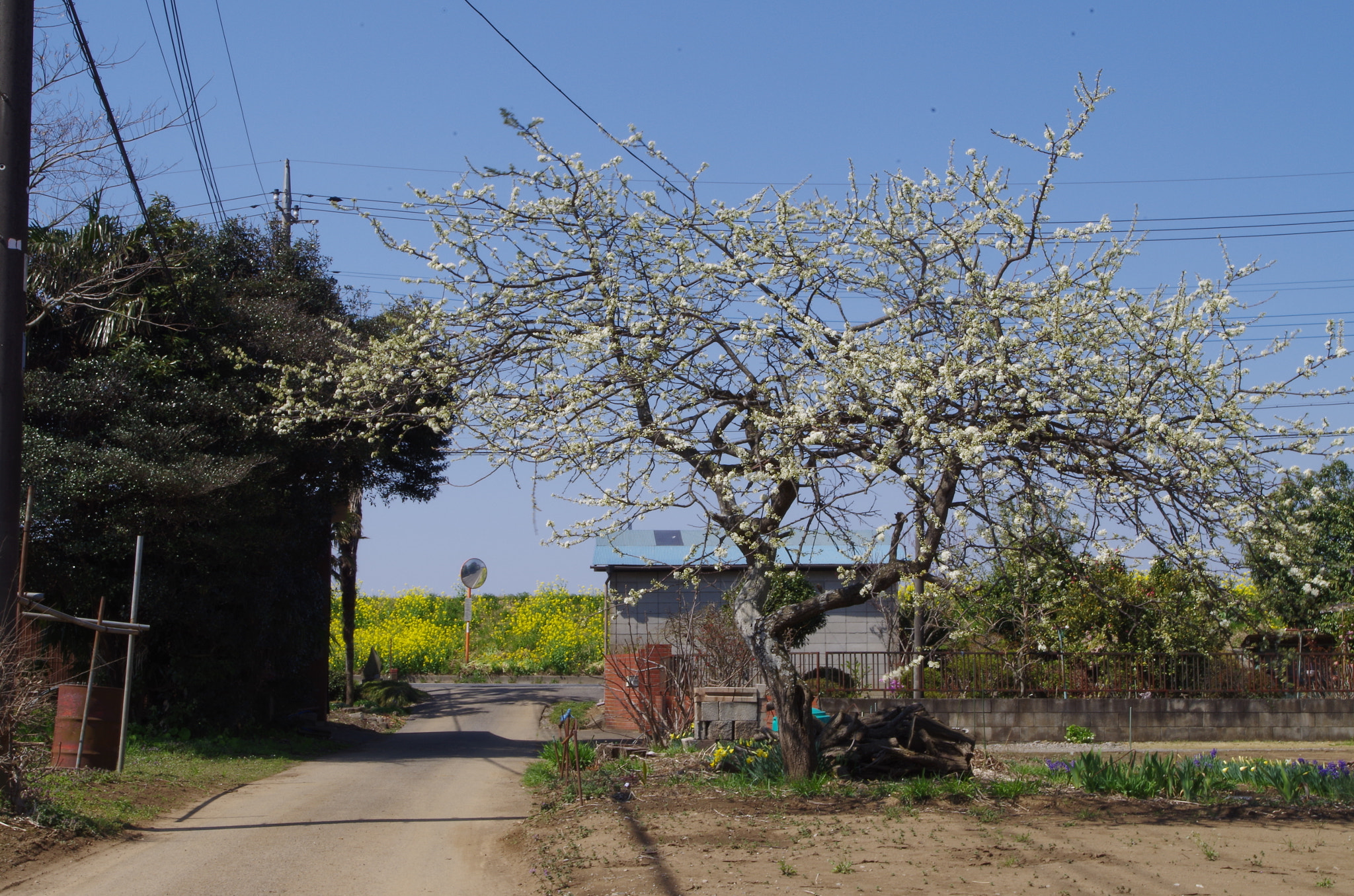smc PENTAX-DA L 18-55mm F3.5-5.6 sample photo. The local landscape photography