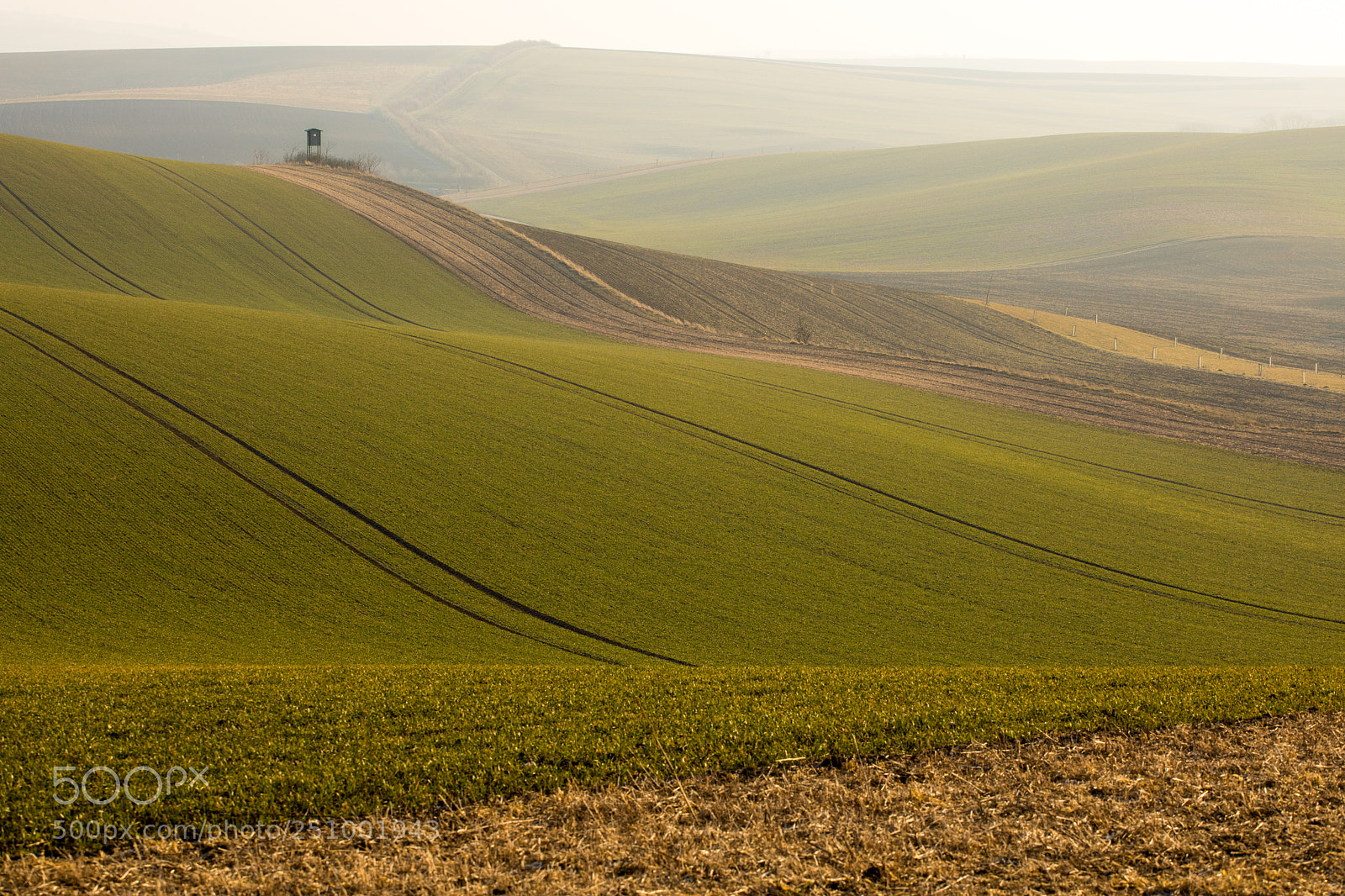 Canon EOS 5D Mark IV sample photo. Moravian tuscany photography