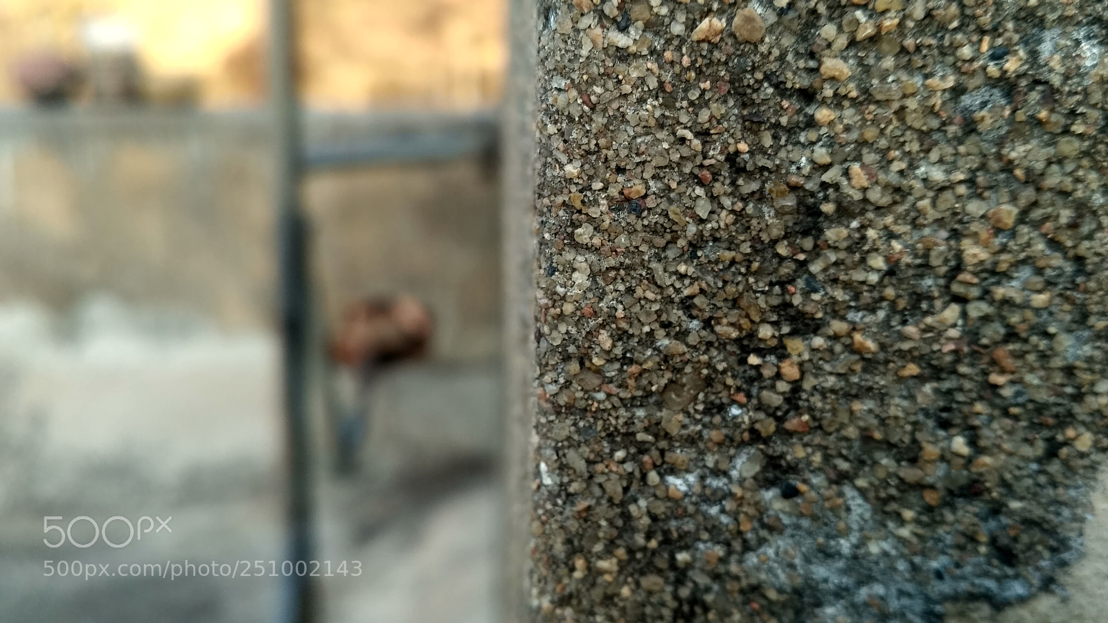 Xiaomi Redmi 3S sample photo. Untitled photography