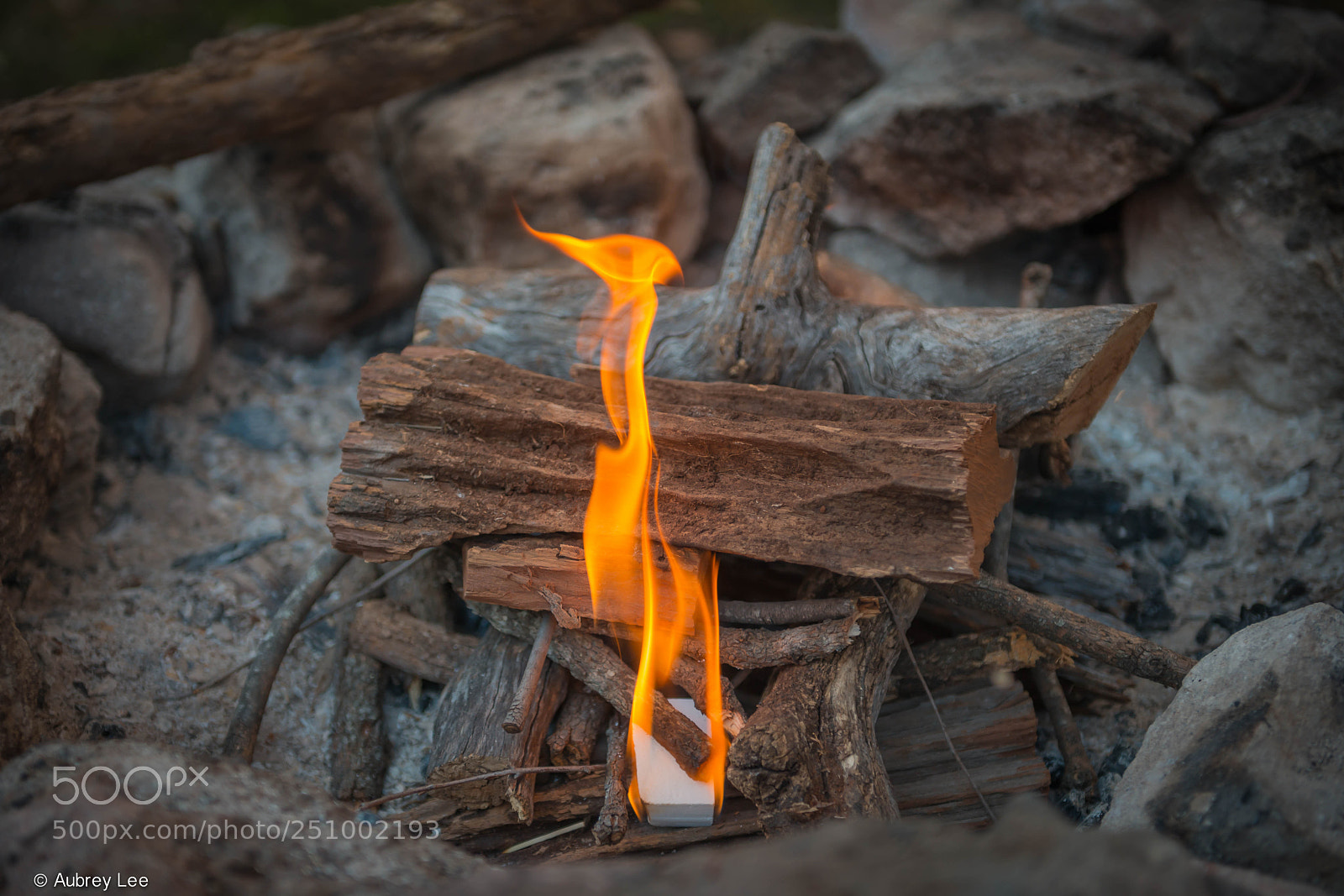 Nikon D610 sample photo. Ignite photography