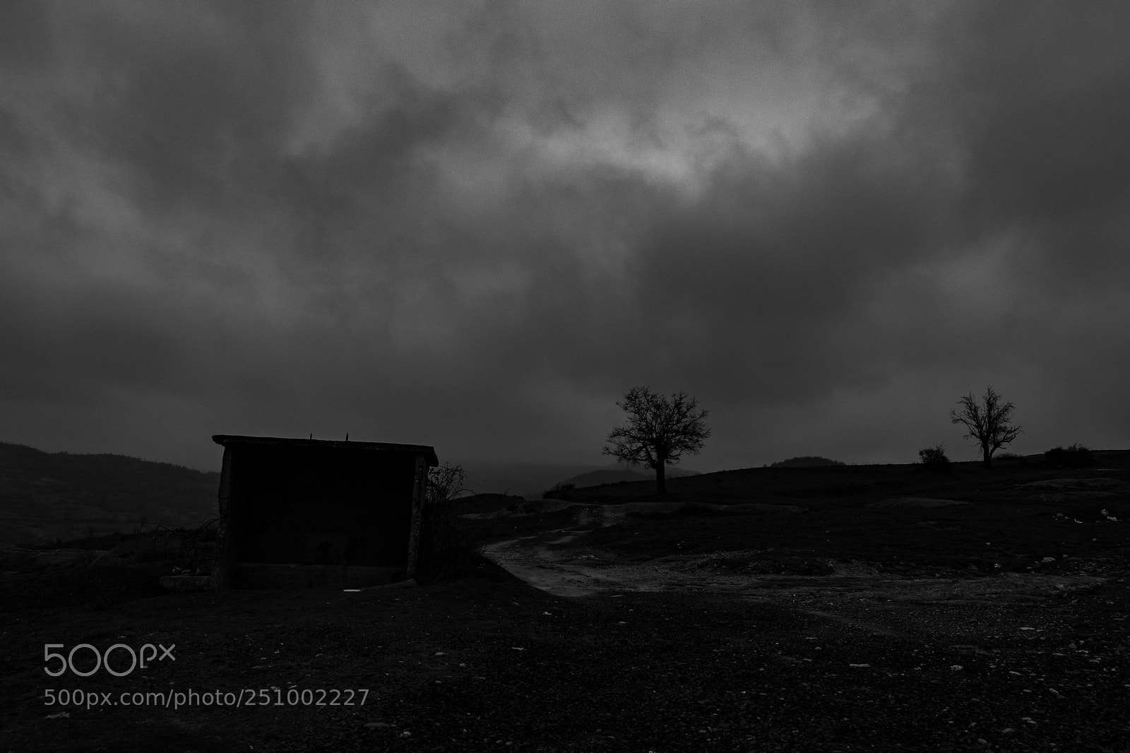 Sony SLT-A58 sample photo. Foggy silhouettes photography