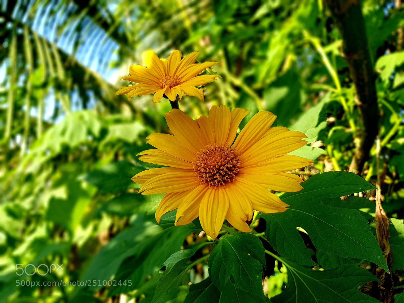 Samsung Galaxy S8 sample photo. Untitled photography
