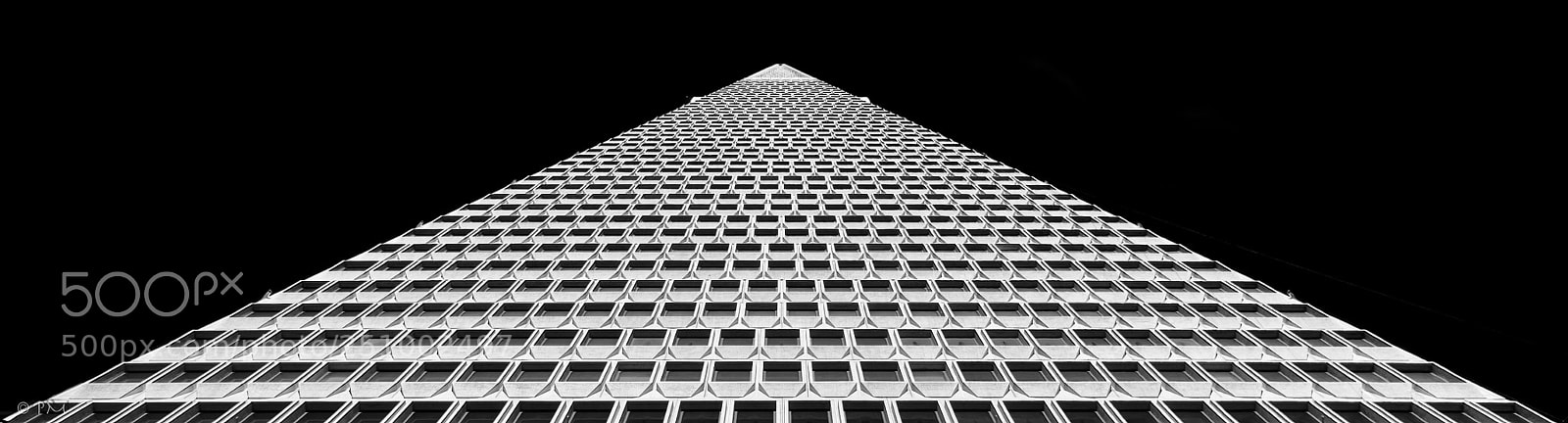 Nikon D810 sample photo. Transamerica pyramid photography