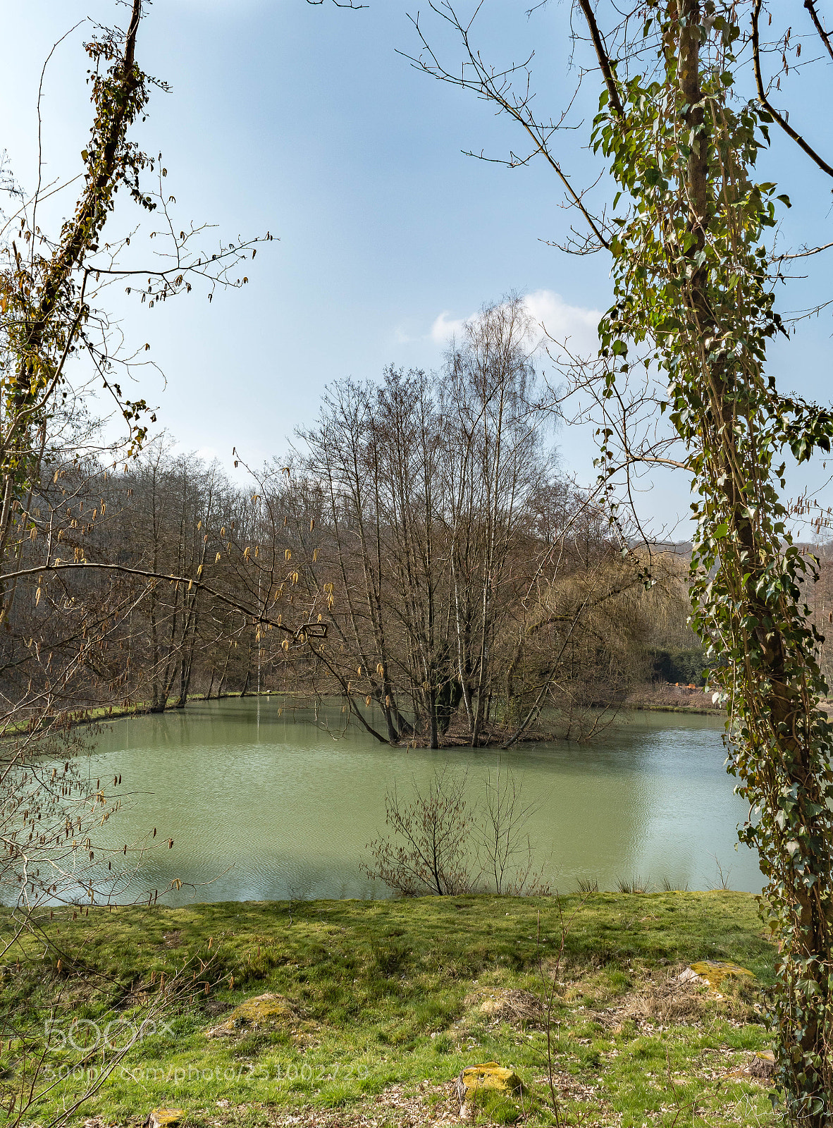 Nikon D5500 sample photo. Naturellement photography