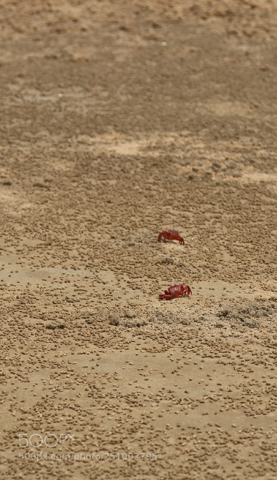 Canon EOS 70D sample photo. It's all about us photography