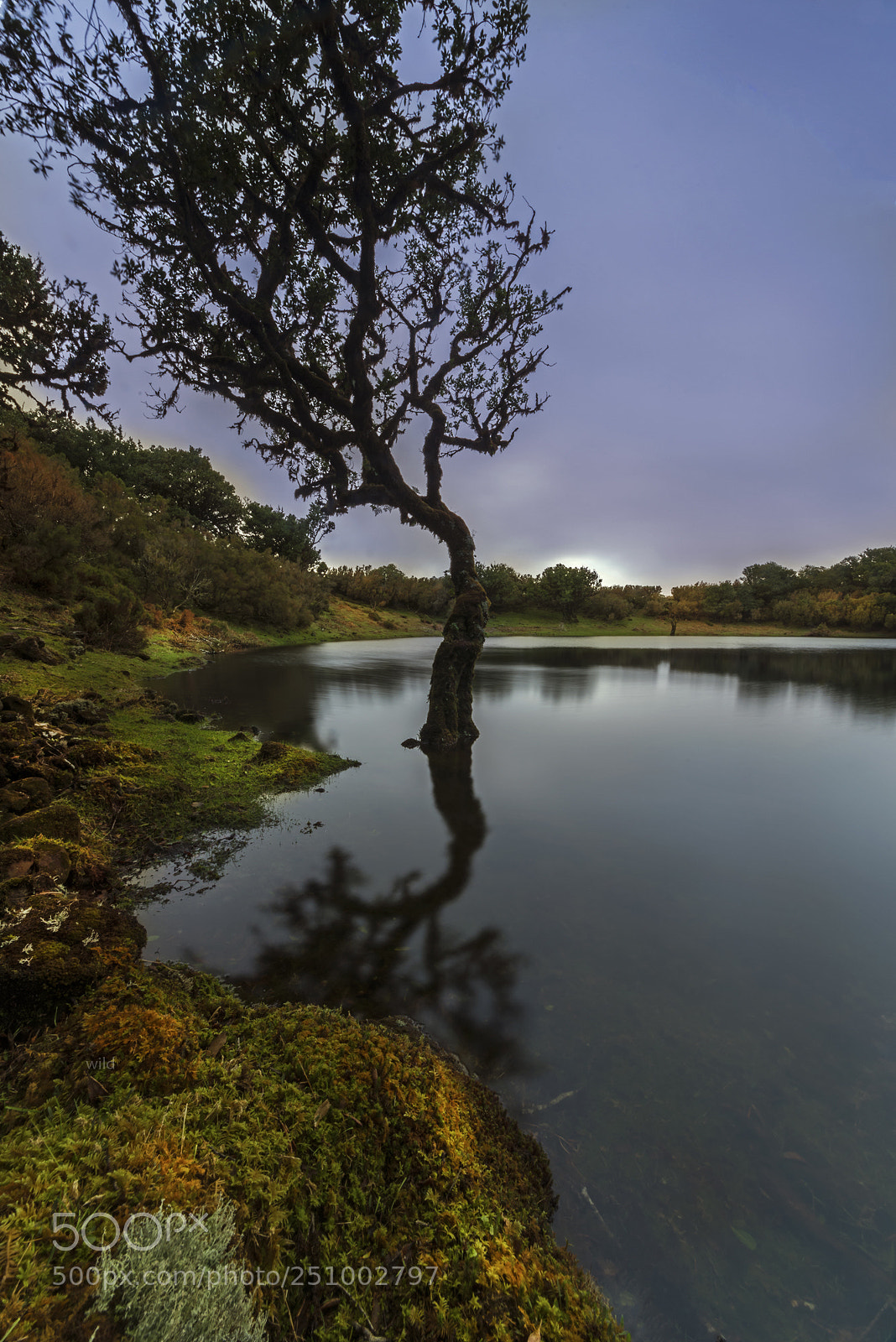 Nikon D610 sample photo. Calm waters photography