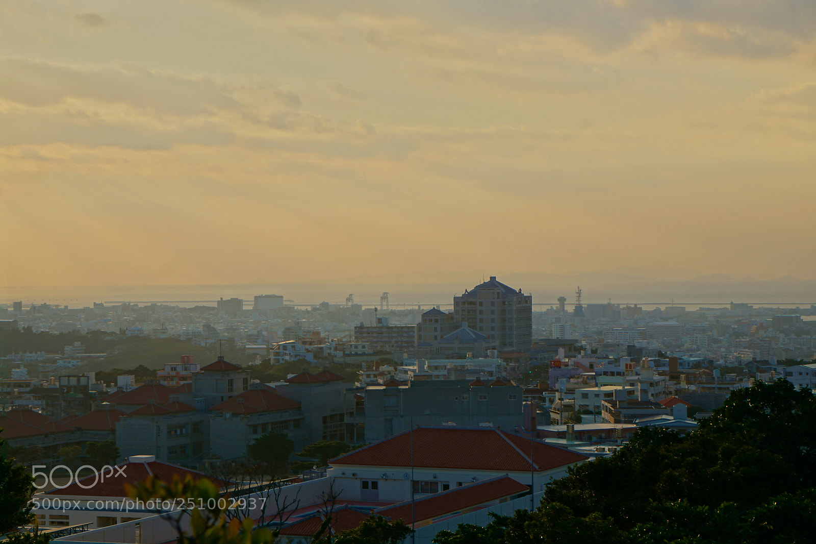 Sony a6000 sample photo. Dsc photography