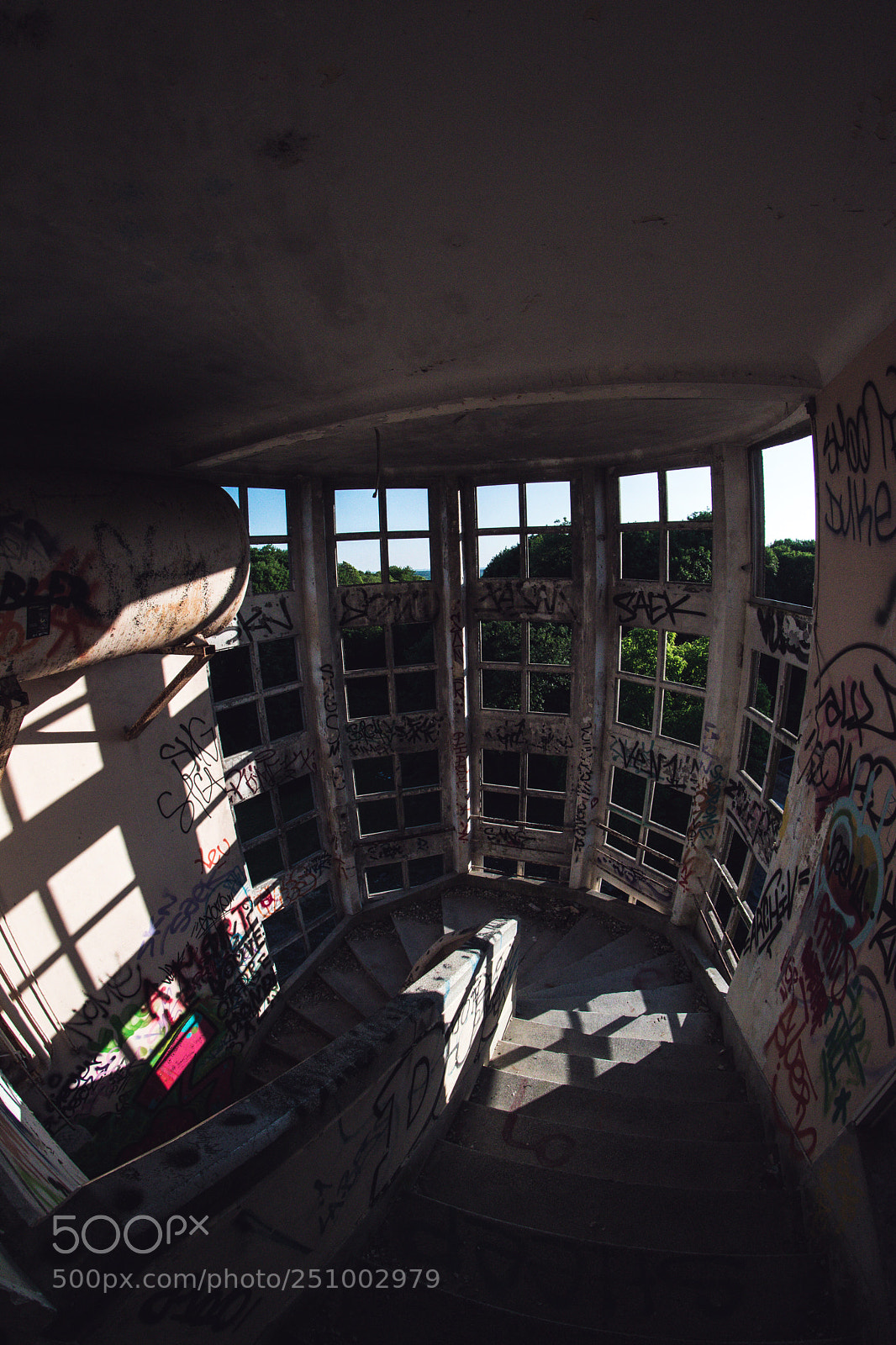 Nikon D5300 sample photo. Light photography