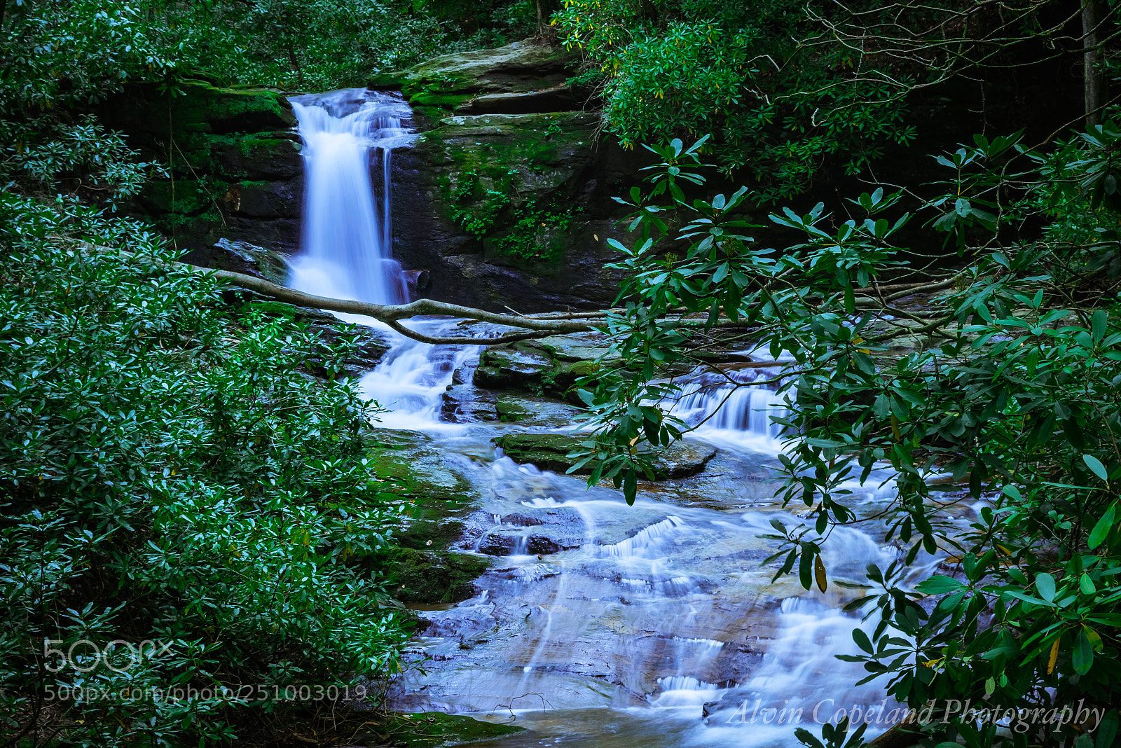 Nikon D3300 sample photo. Calmness  photography