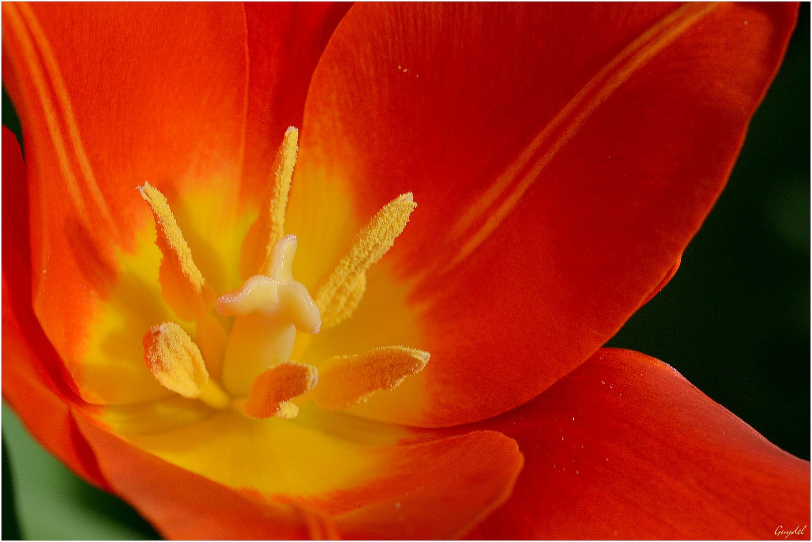 Nikon D5200 sample photo. Que c'est bon !!! photography