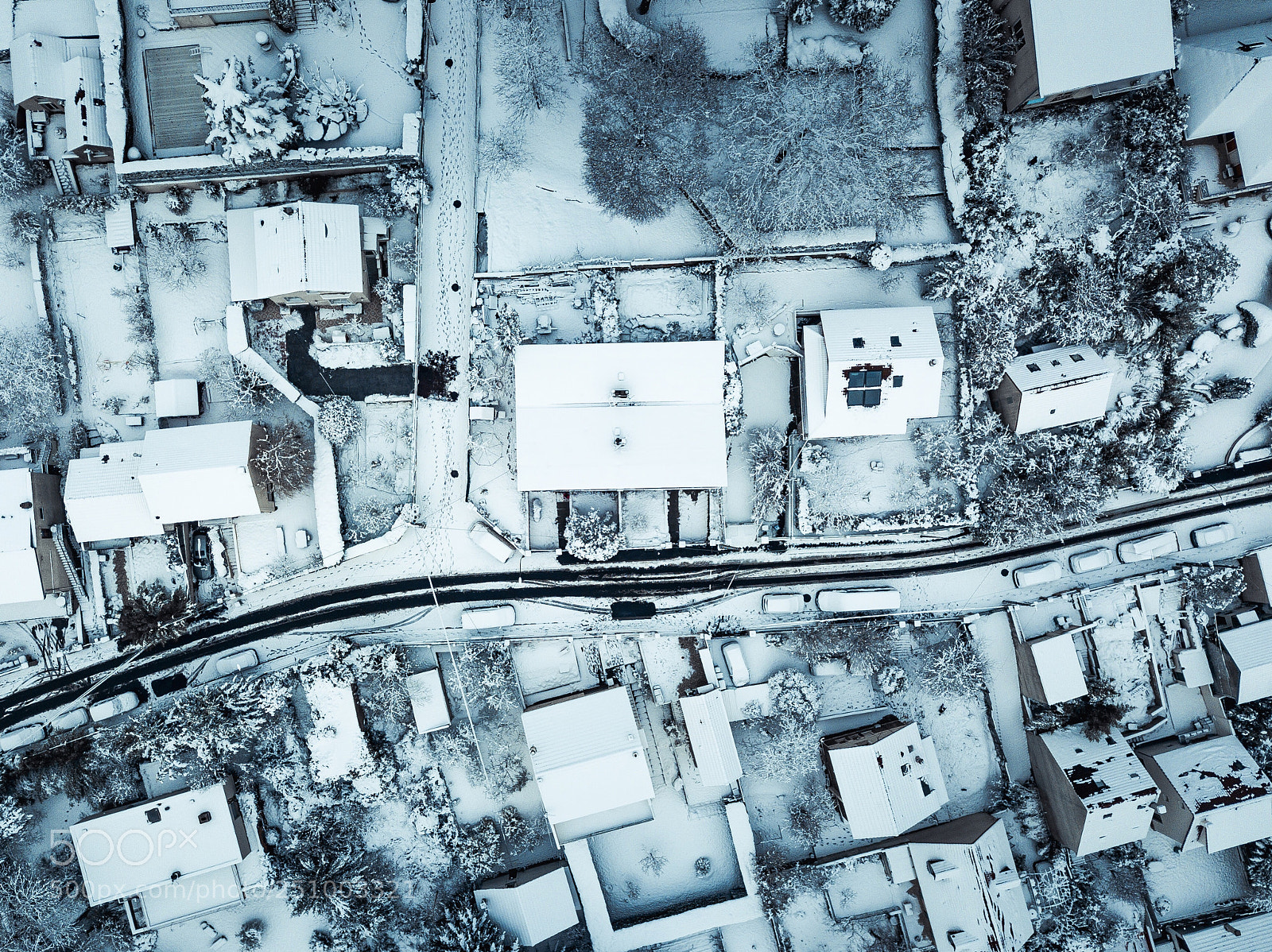 DJI FC220 sample photo. Flying birds photography