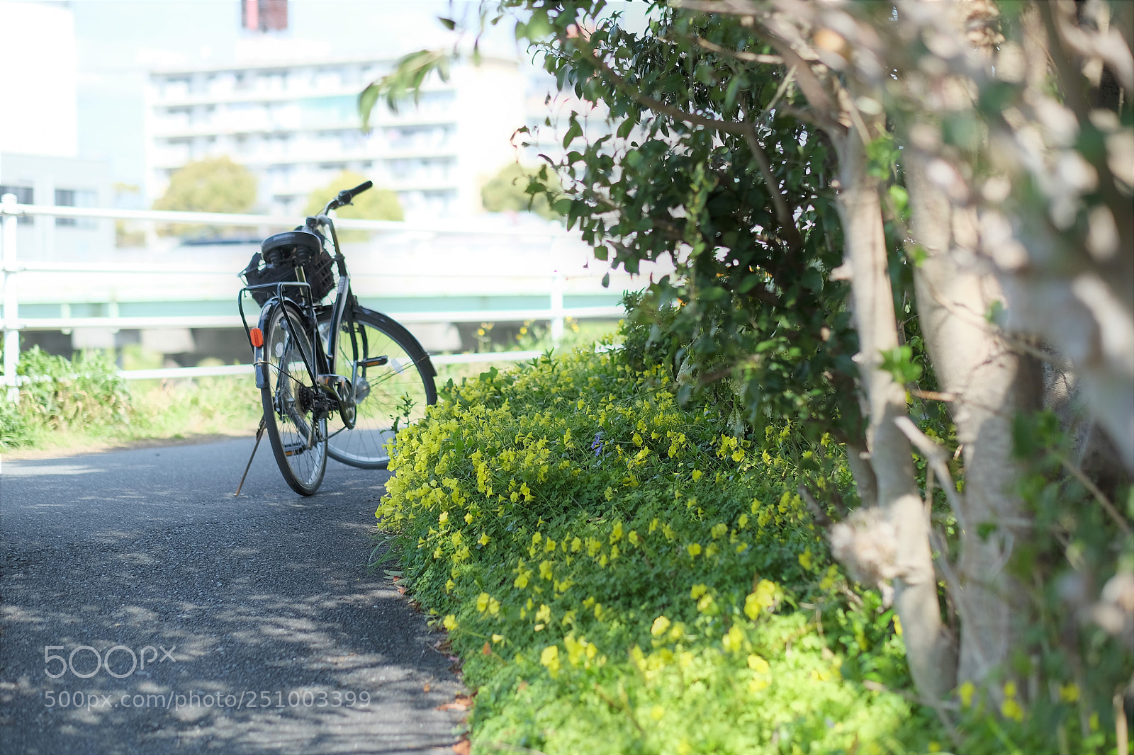 Fujifilm X-T2 sample photo. Walk on spring day photography