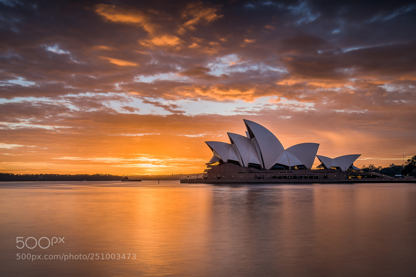 Nikon D810 sample photo. Sydney harbour #5 photography
