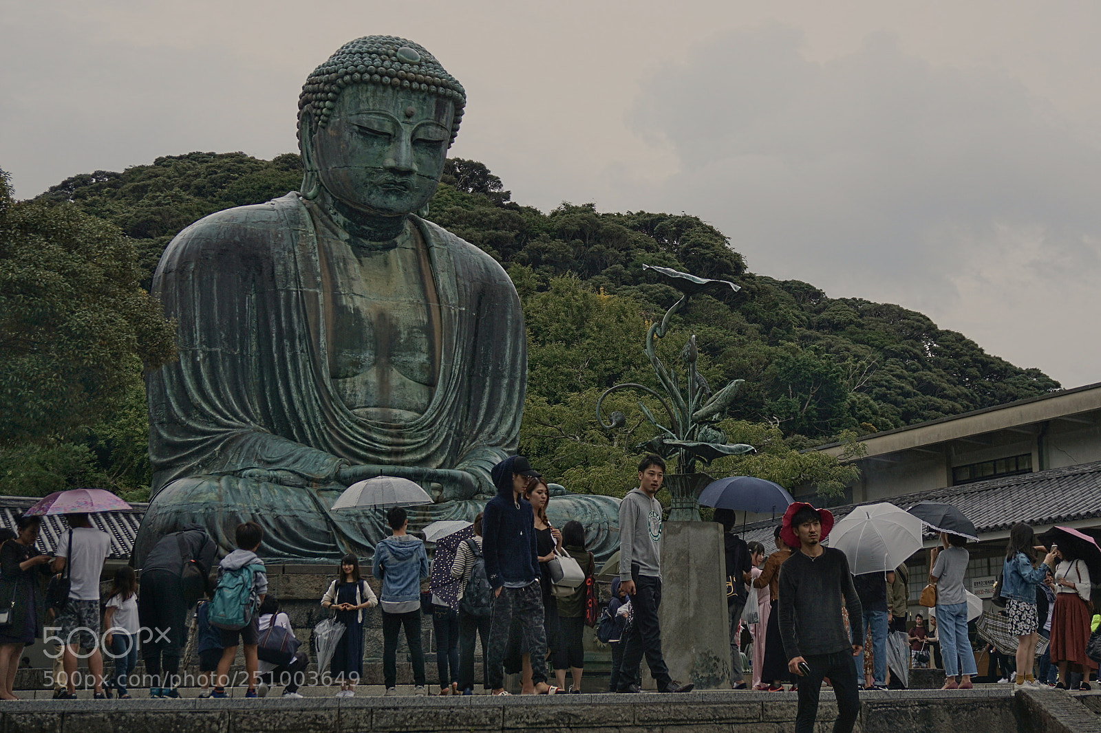 Sony a6000 sample photo. Dsc photography