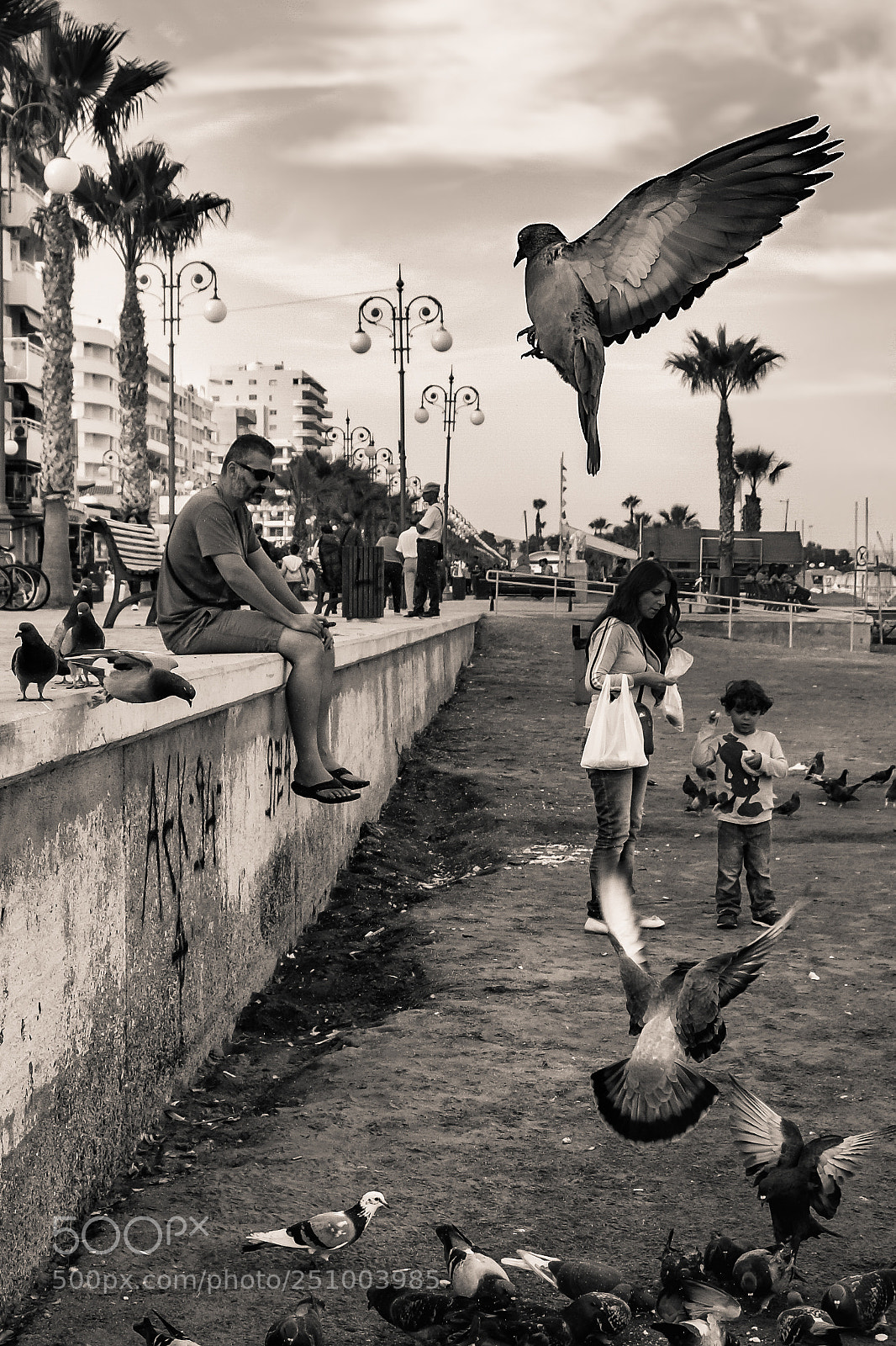 Nikon D5300 sample photo. Feeding the pigeons! photography
