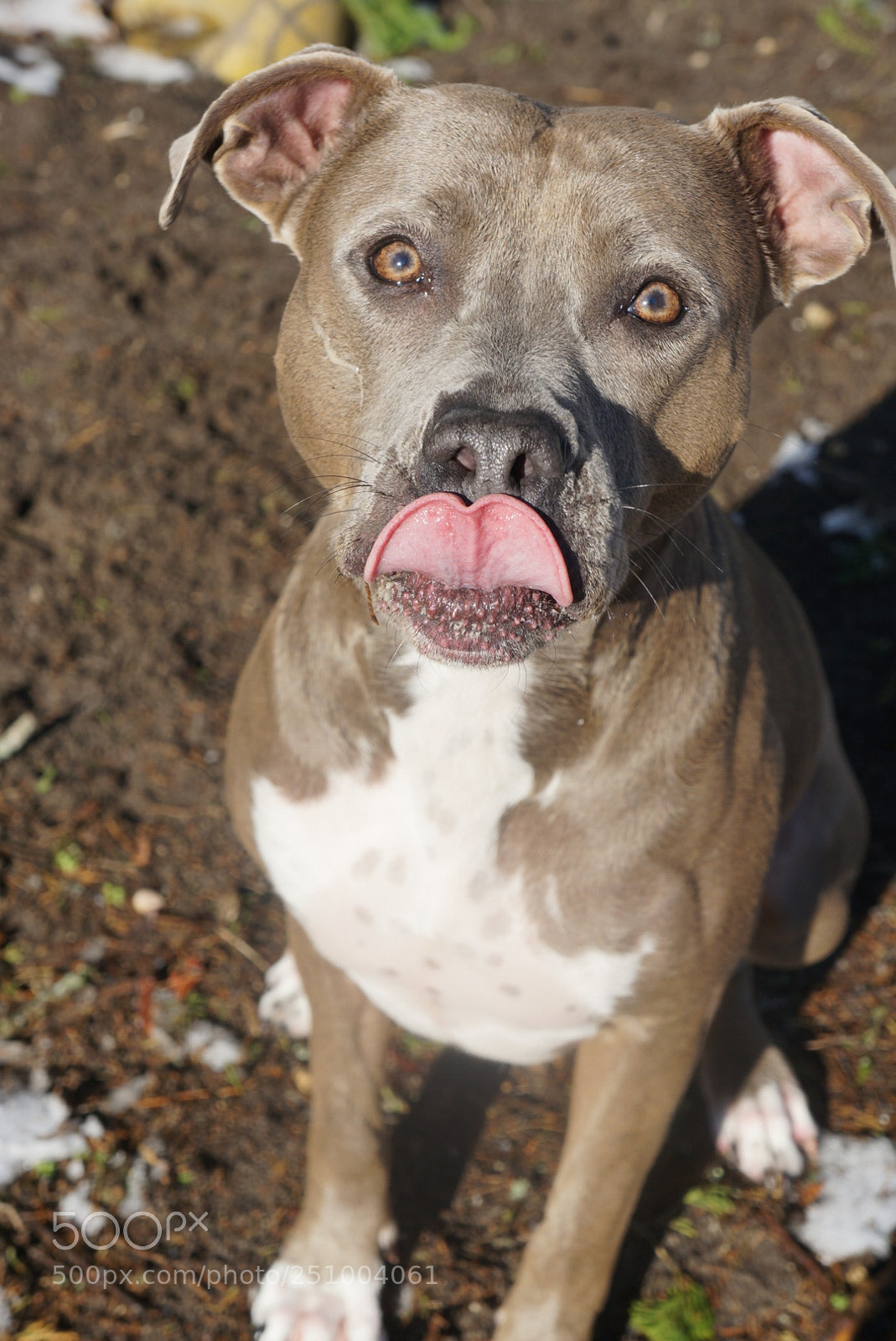 Sony Alpha NEX-5R sample photo. My pit photography