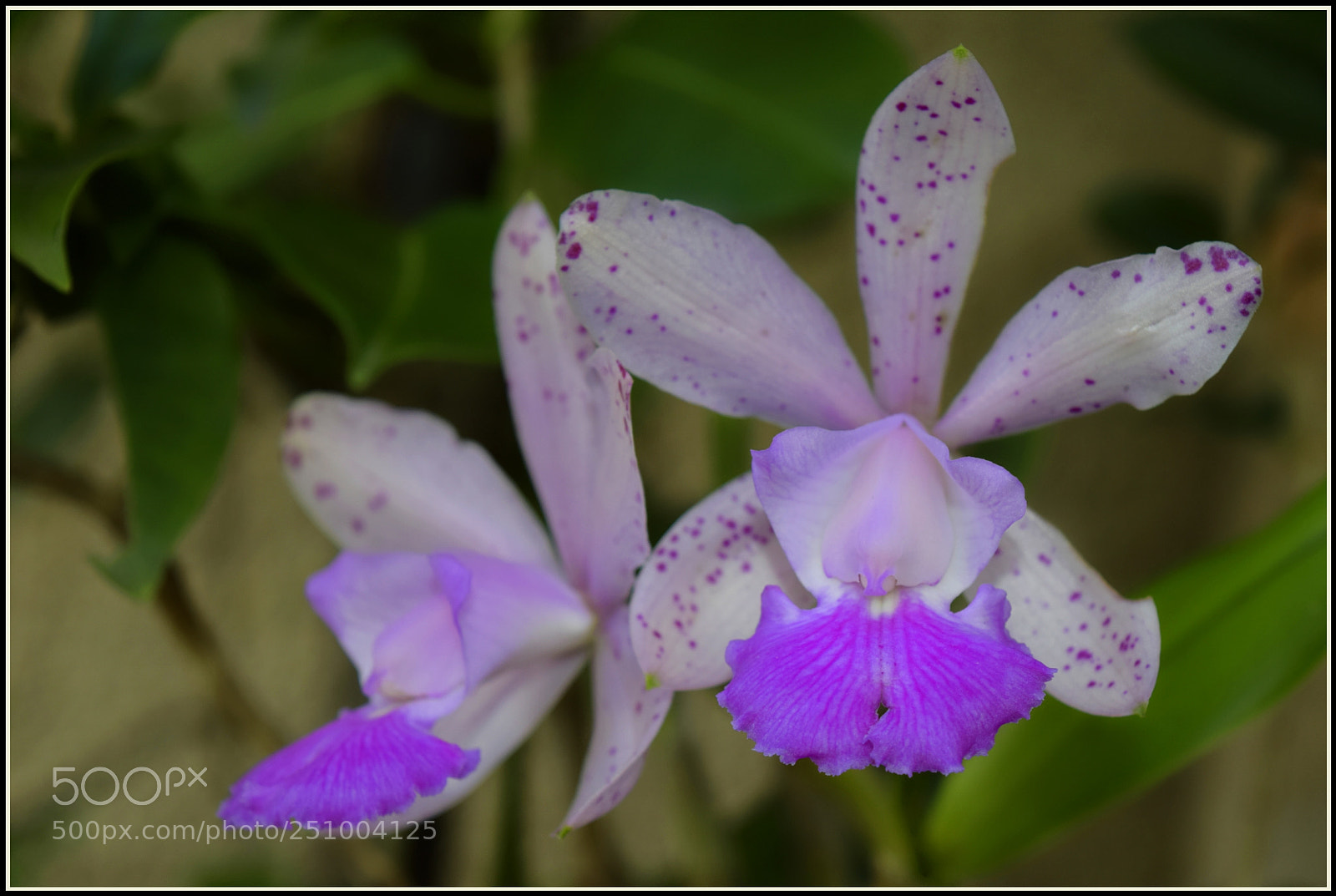 Nikon D5300 sample photo. ... ;-)" photography