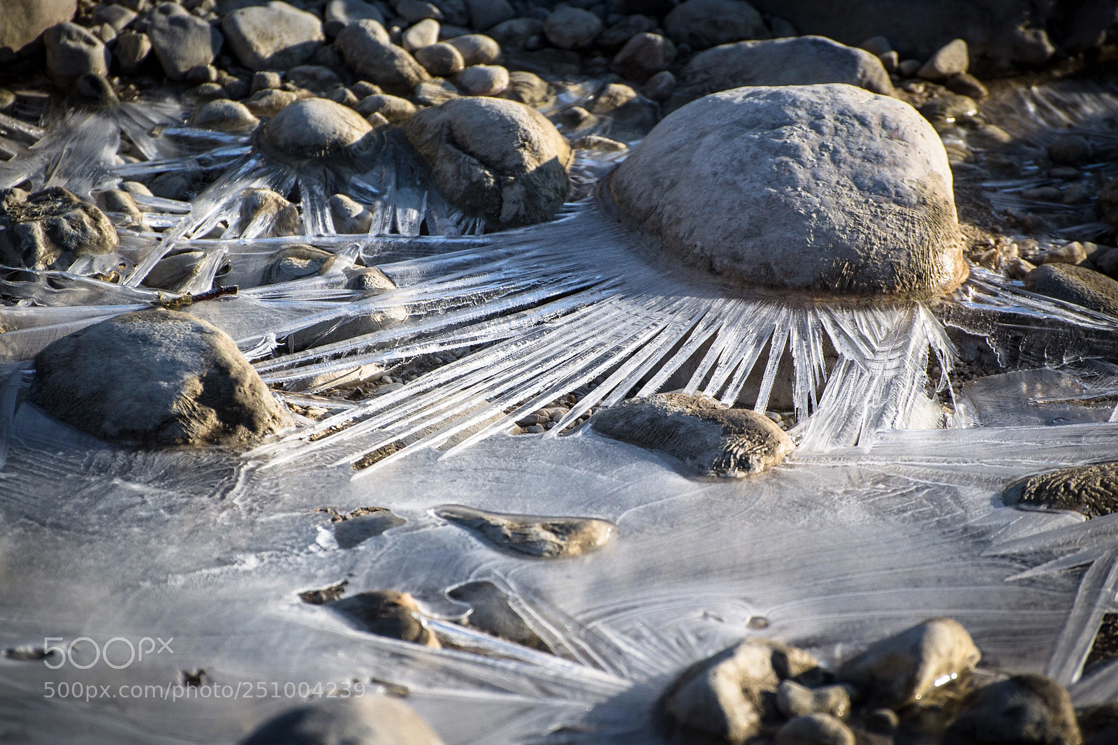 Nikon D3100 sample photo. Natural art photography