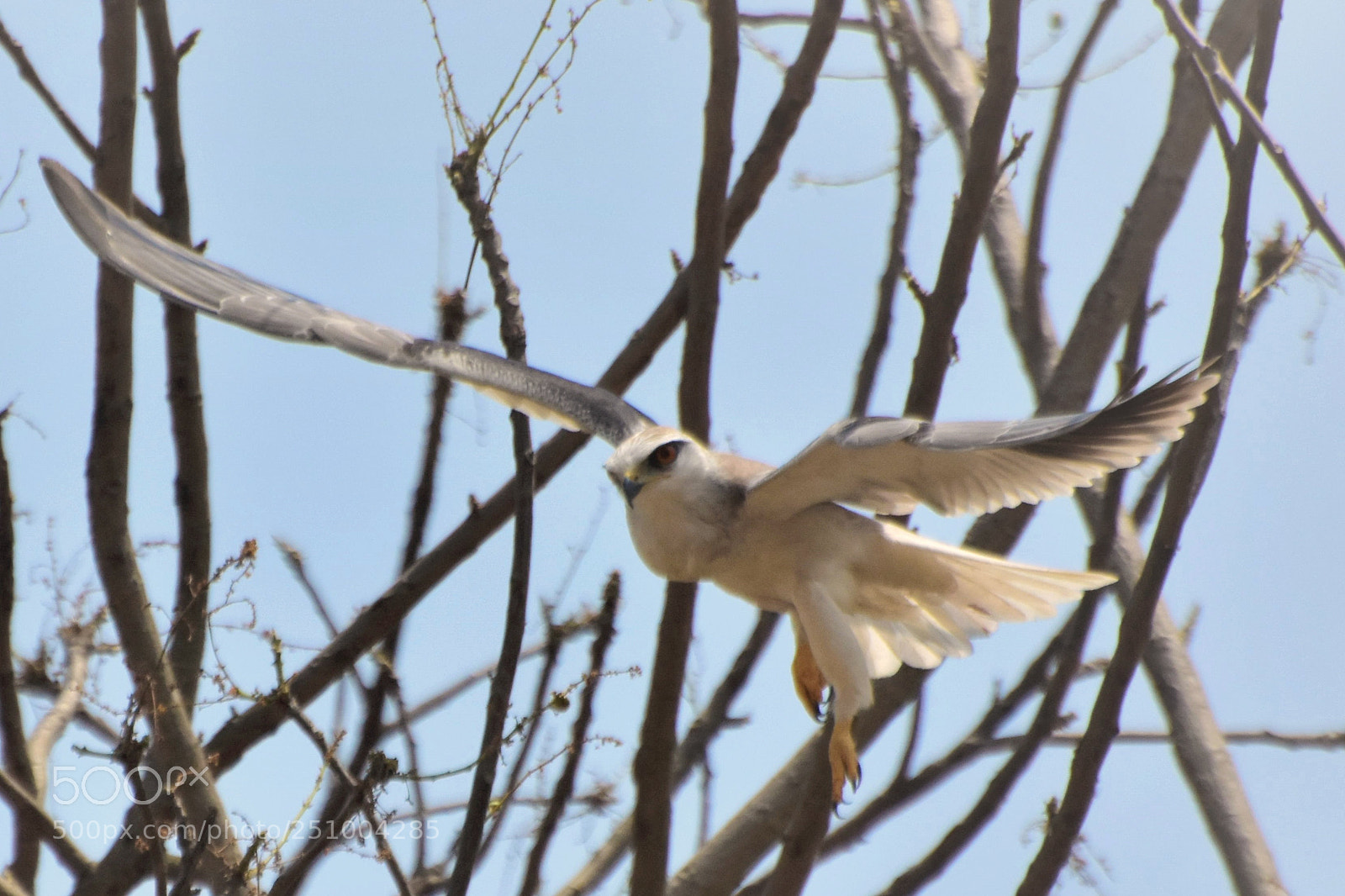 Nikon D7200 sample photo. Untitled photography