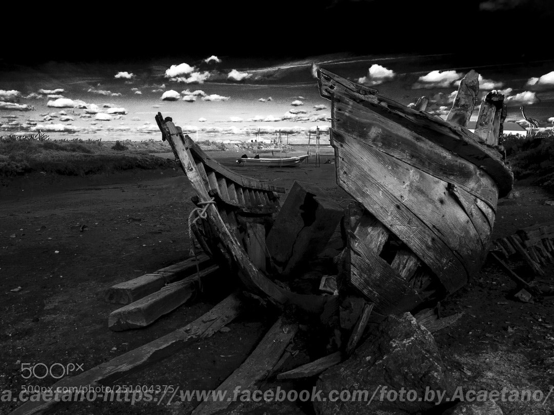 Fujifilm X10 sample photo. R.i.p. photography