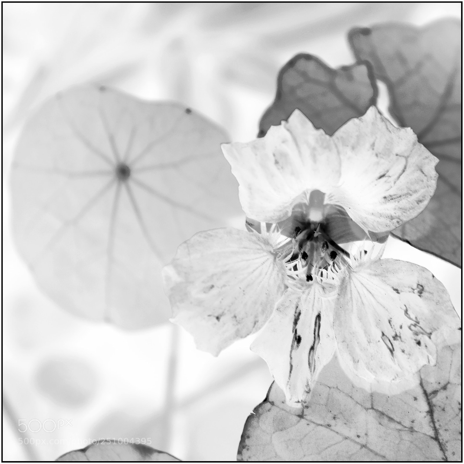 Nikon D5300 sample photo. Untitled photography