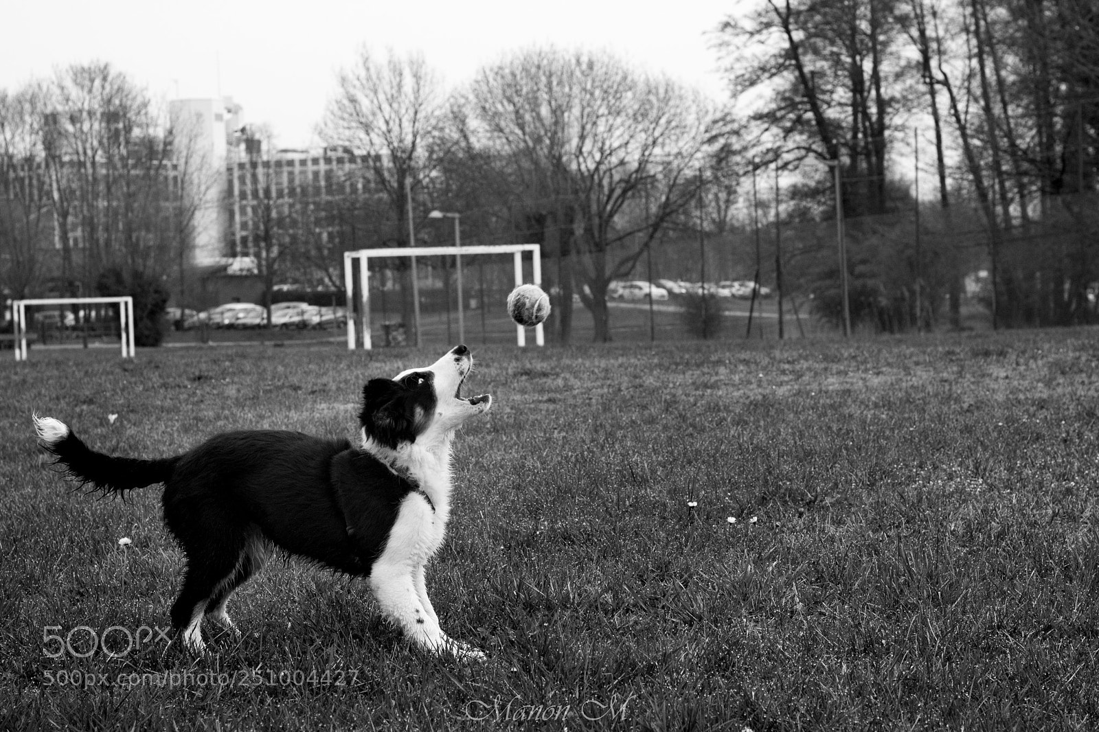 Canon EOS 750D (EOS Rebel T6i / EOS Kiss X8i) sample photo. Nora photography
