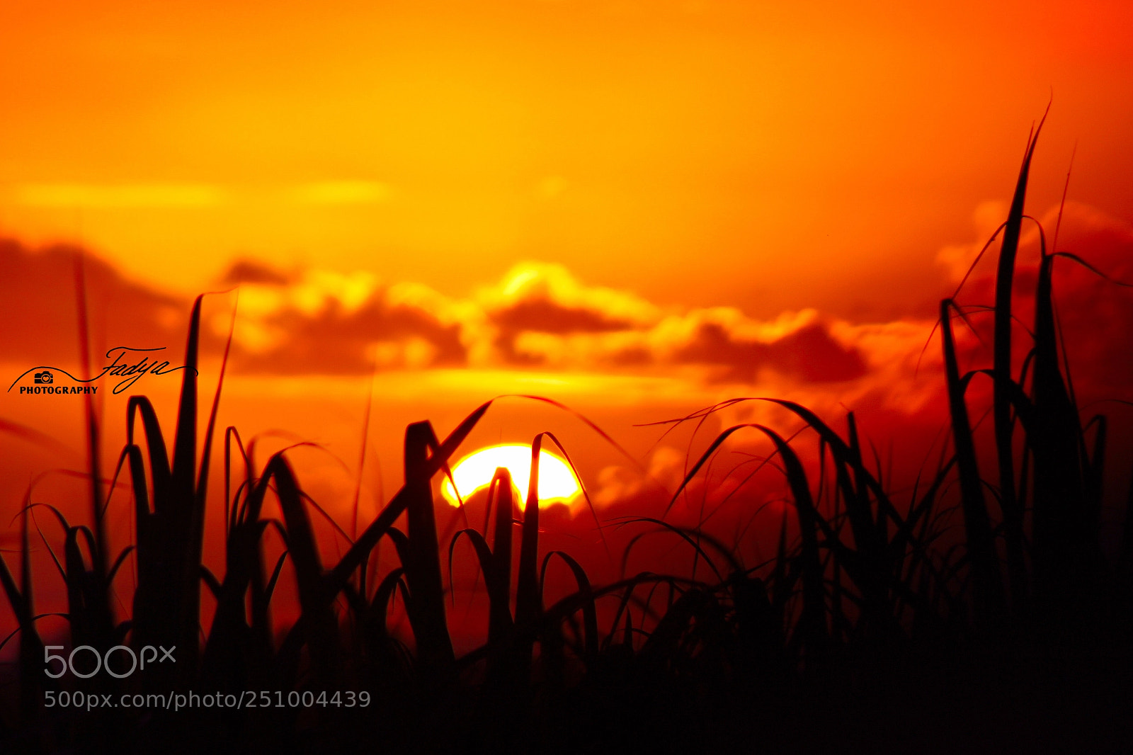 Canon EOS 100D (EOS Rebel SL1 / EOS Kiss X7) sample photo. Today's sunrise over mauritius photography