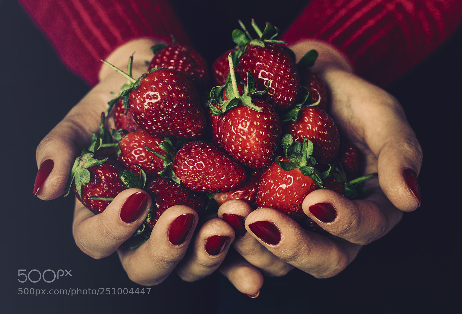 Nikon D300S sample photo. Red... photography