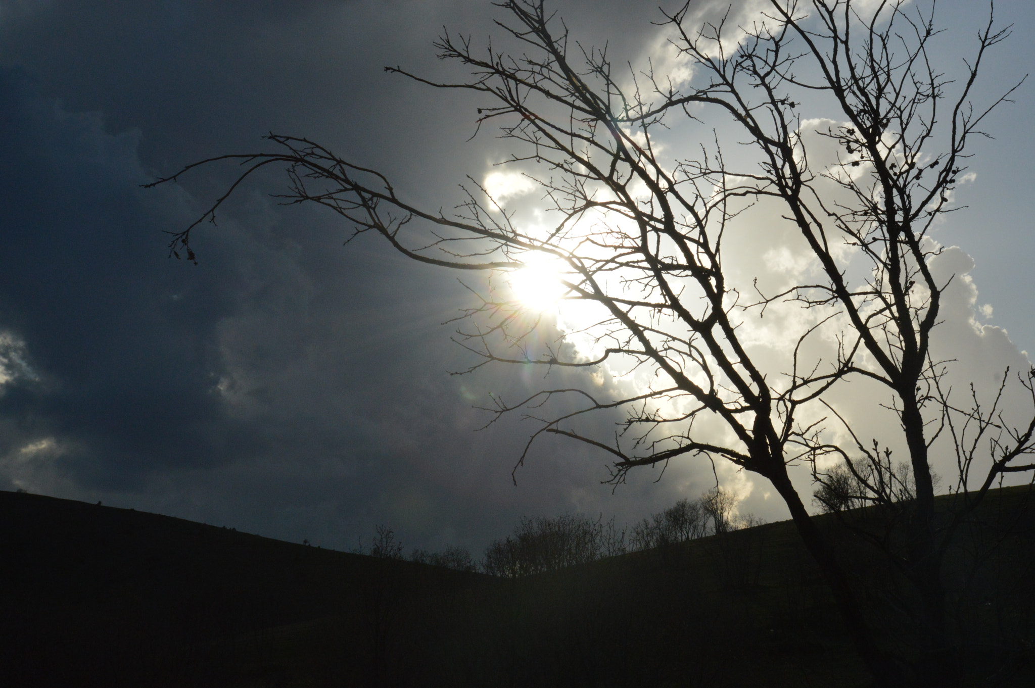 Nikon D3200 sample photo. (my arts photo by qasim srush) photography